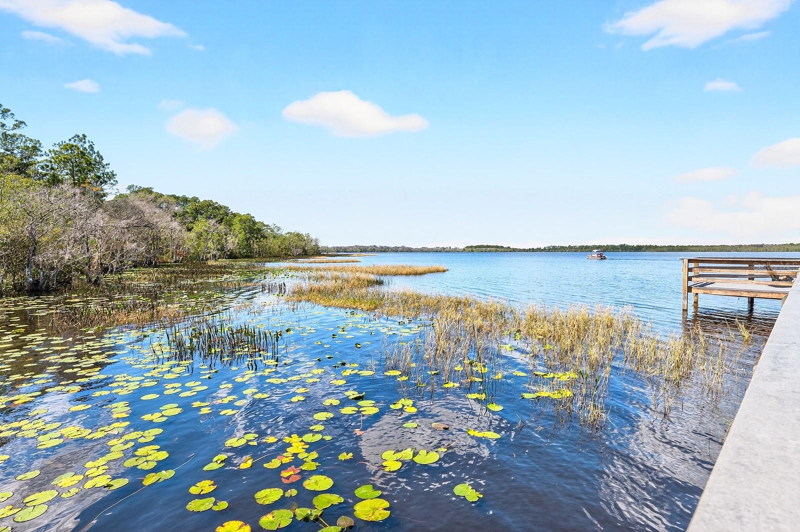 Image 40 of 49 For 7651 Five Oaks Drive