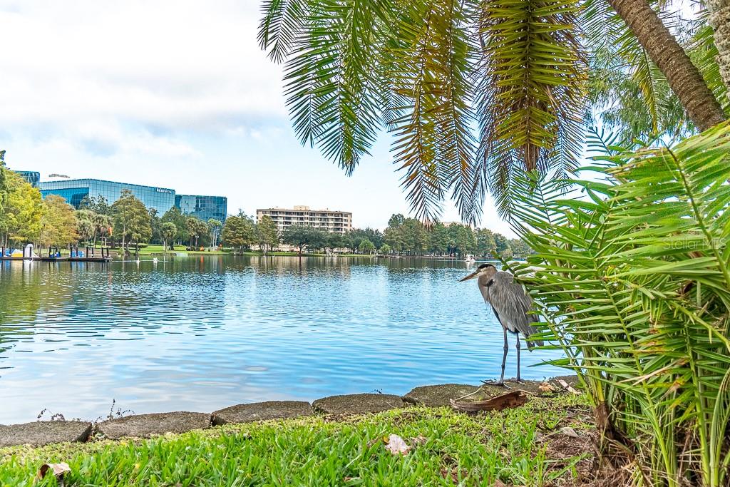 Image 23 of 32 For 150 Robinson Street 2203