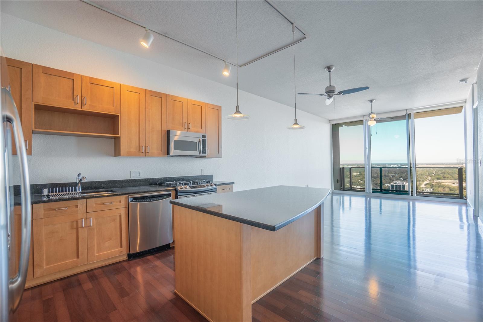 Image 4 of 32 For 150 Robinson Street 2203