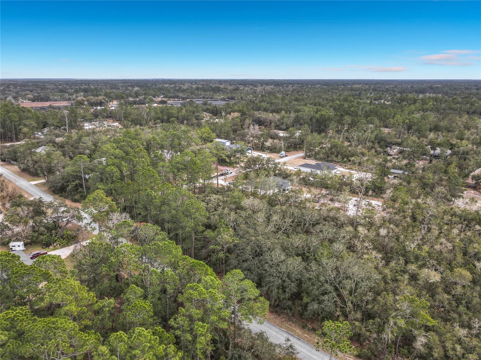 Image 11 of 12 For Balsam Street