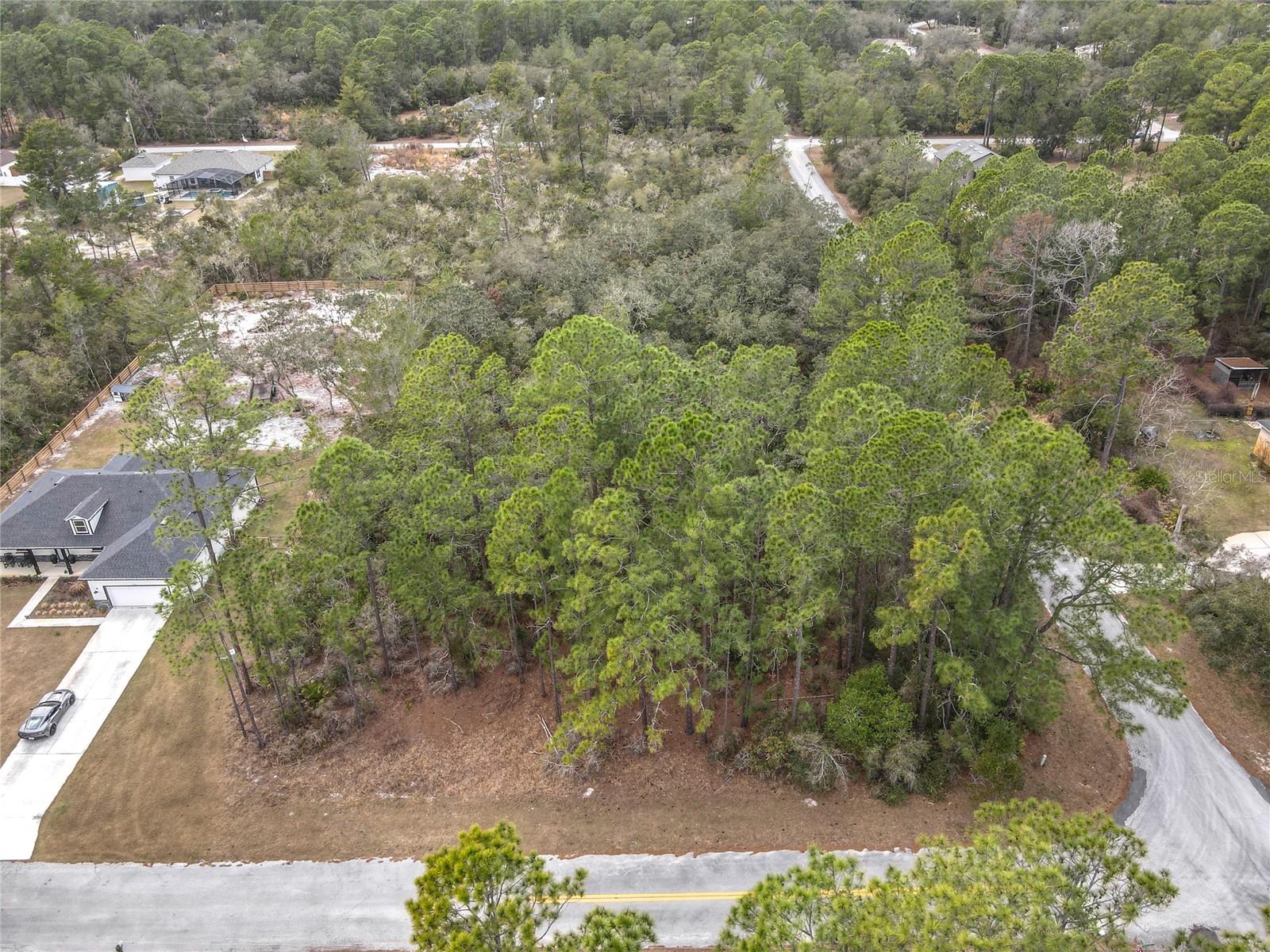 Image 7 of 12 For Balsam Street