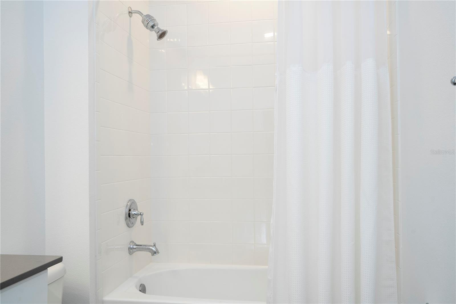 Image 29 of 81 For 734 Creeping Fig Street