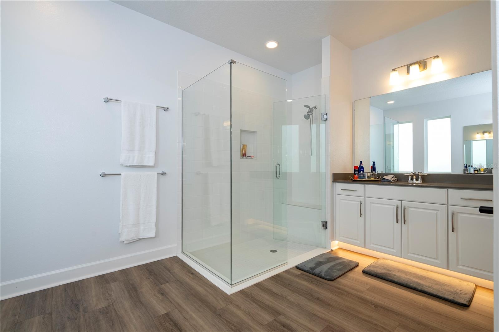 Image 47 of 81 For 734 Creeping Fig Street