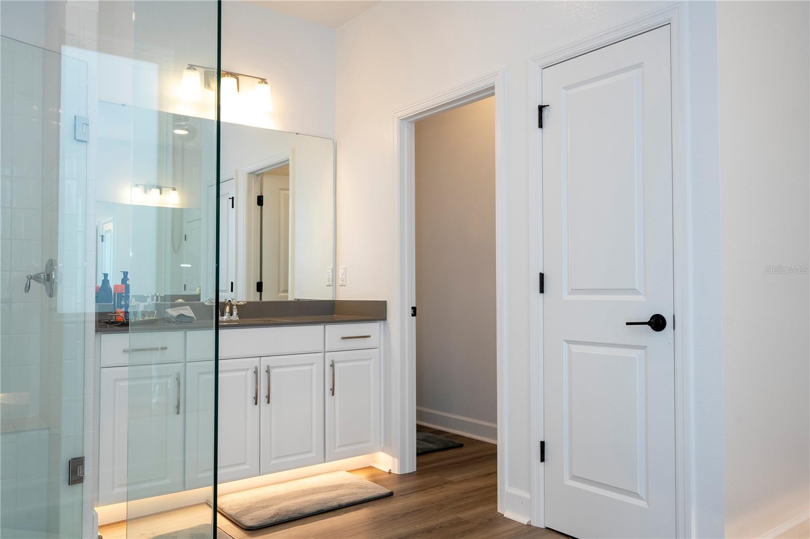 Image 49 of 81 For 734 Creeping Fig Street