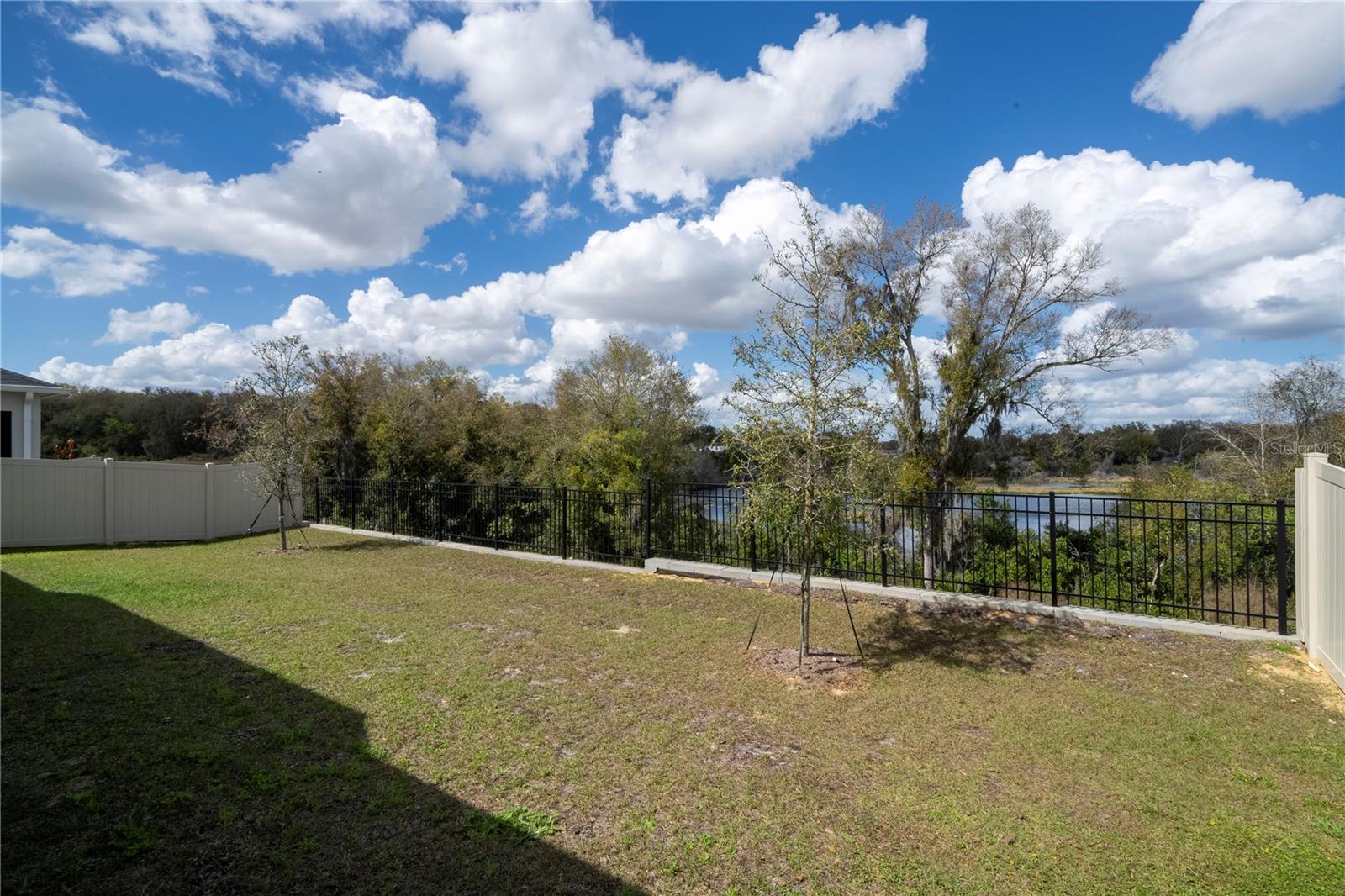 Image 59 of 81 For 734 Creeping Fig Street