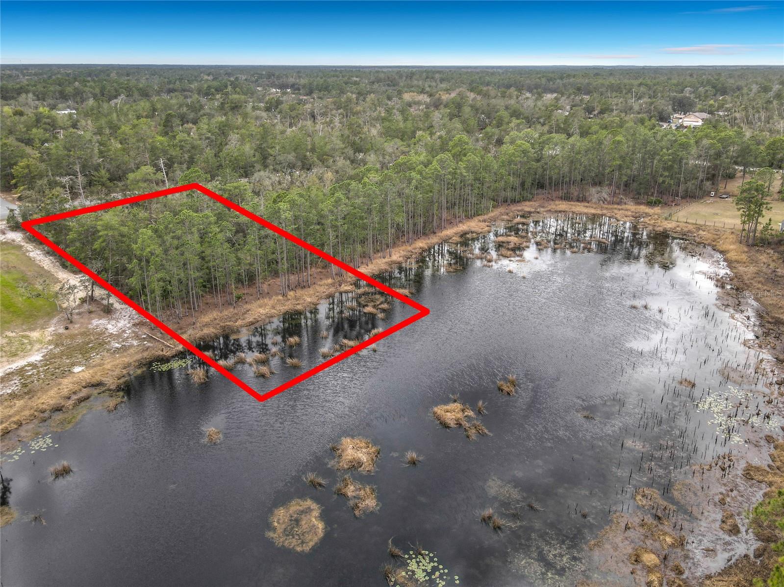 Details for Nutmeg Avenue, EUSTIS, FL 32736