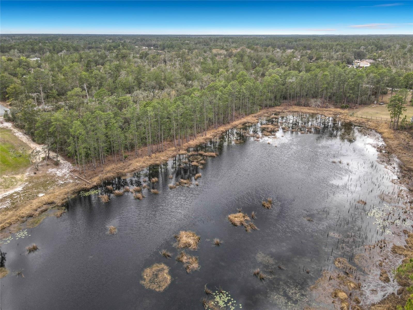 Image 13 of 13 For Nutmeg Avenue