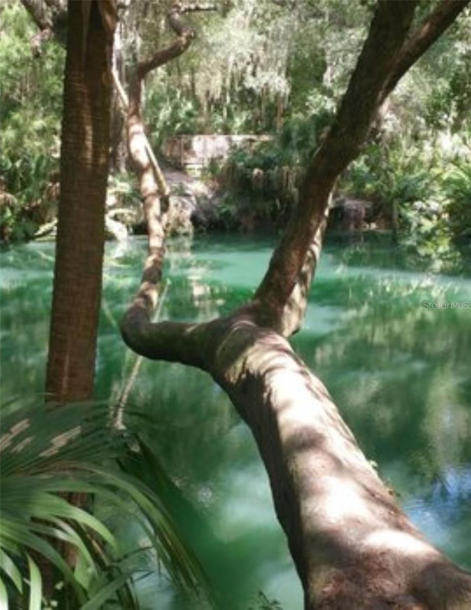 Image 3 of 21 For 120 Hibiscus Woods Court 4b