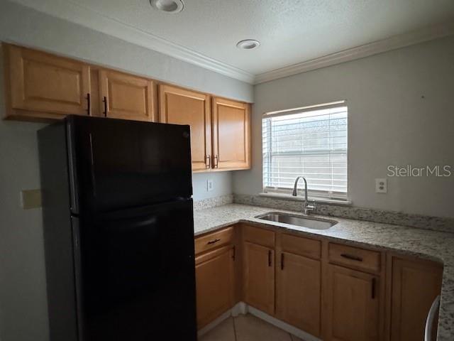 Image 5 of 9 For 616 Palmer Street B