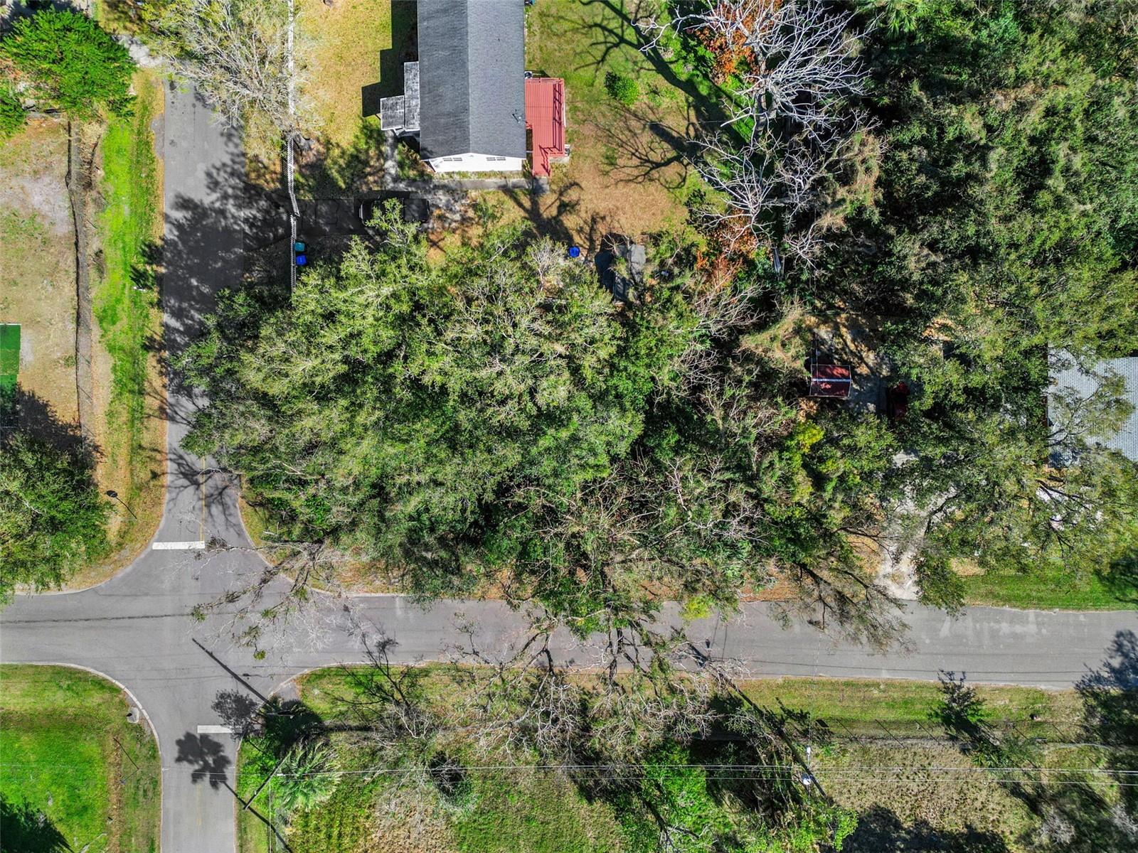 Image 6 of 22 For 4852 Central Avenue