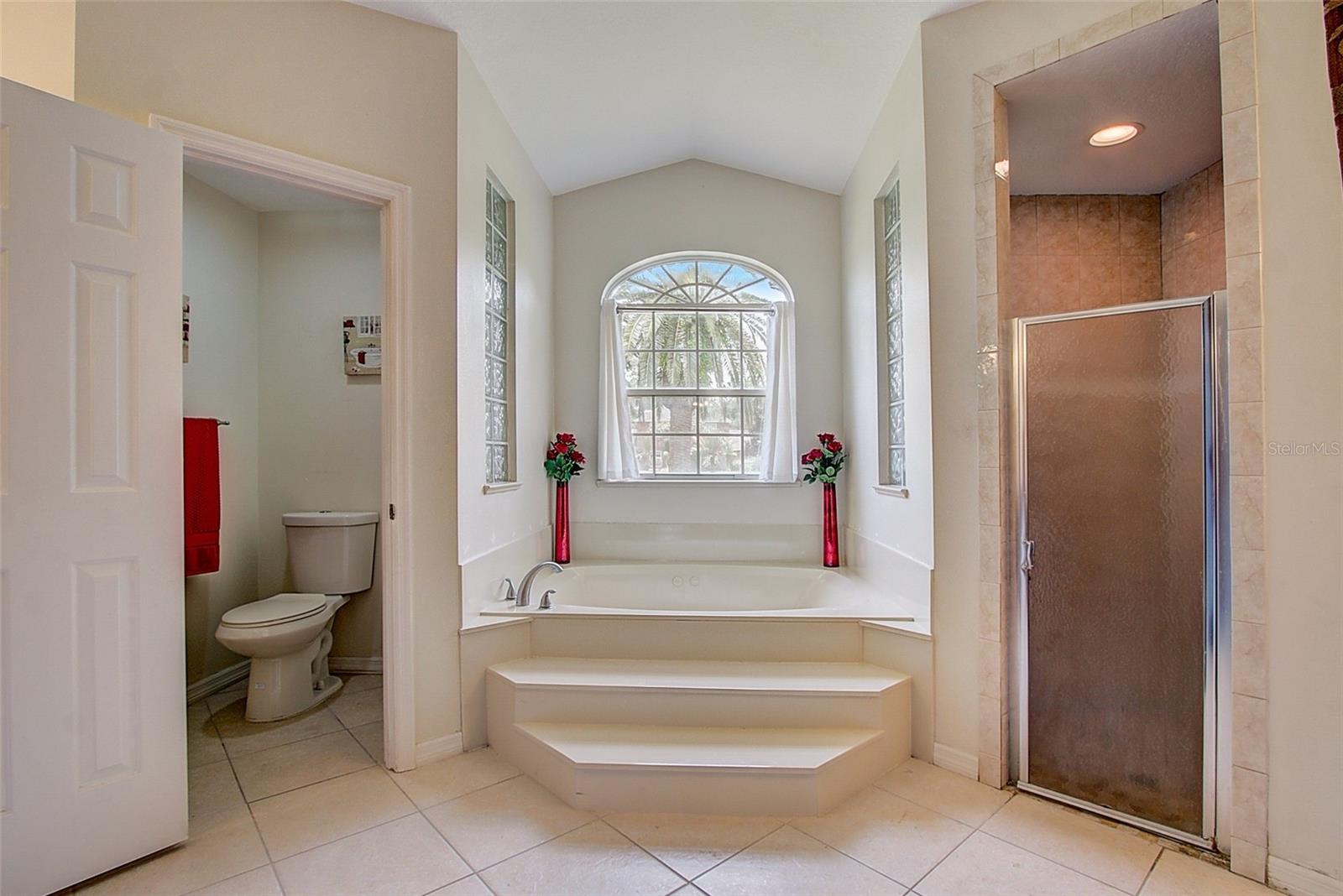 Image 19 of 44 For 12202 Rambling Oak Boulevard