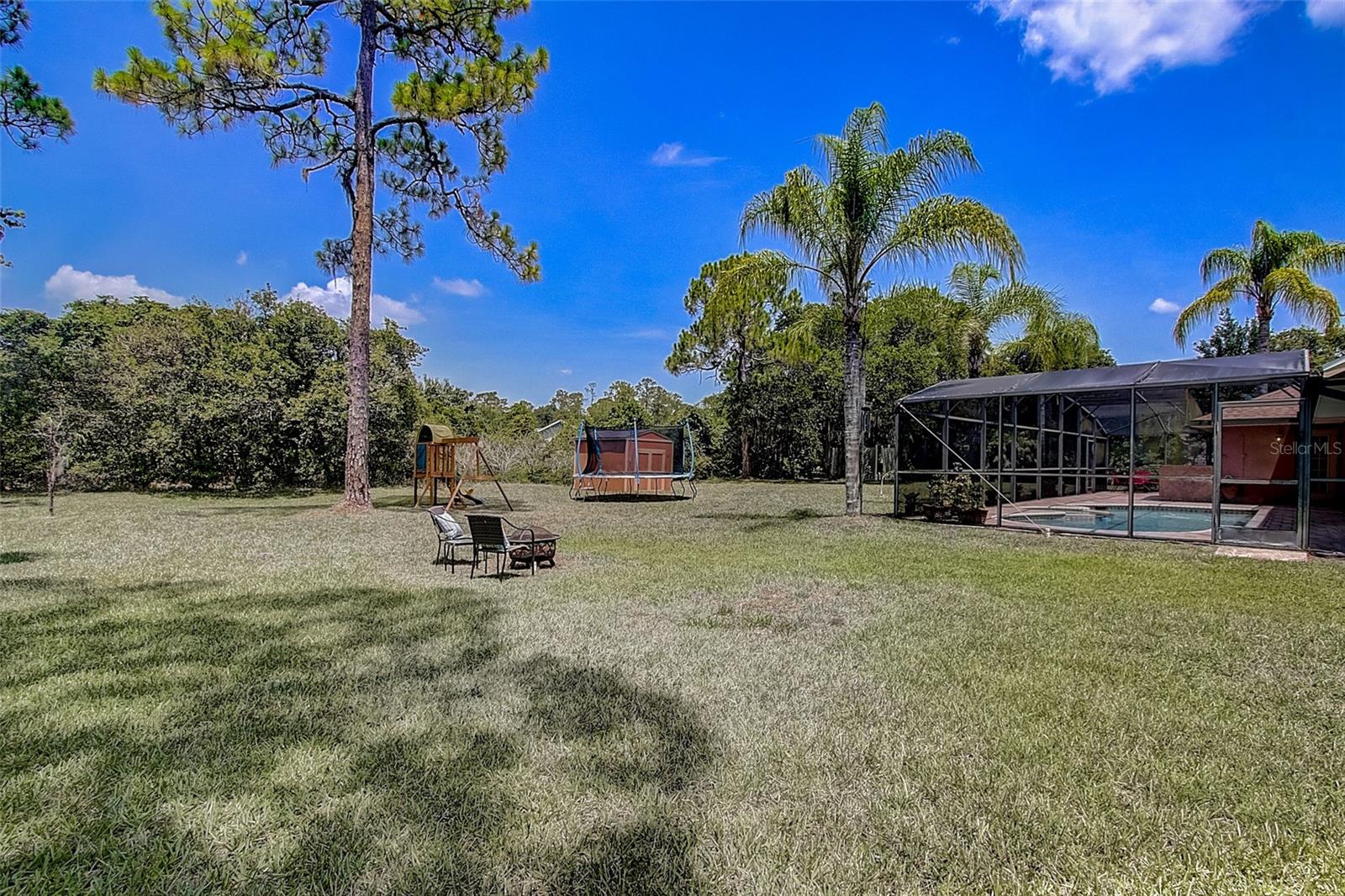 Image 41 of 44 For 12202 Rambling Oak Boulevard