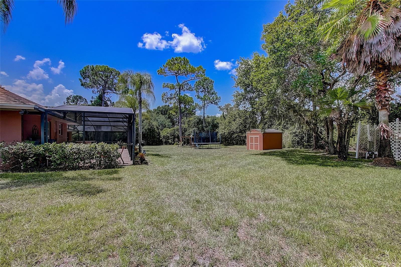 Image 42 of 44 For 12202 Rambling Oak Boulevard