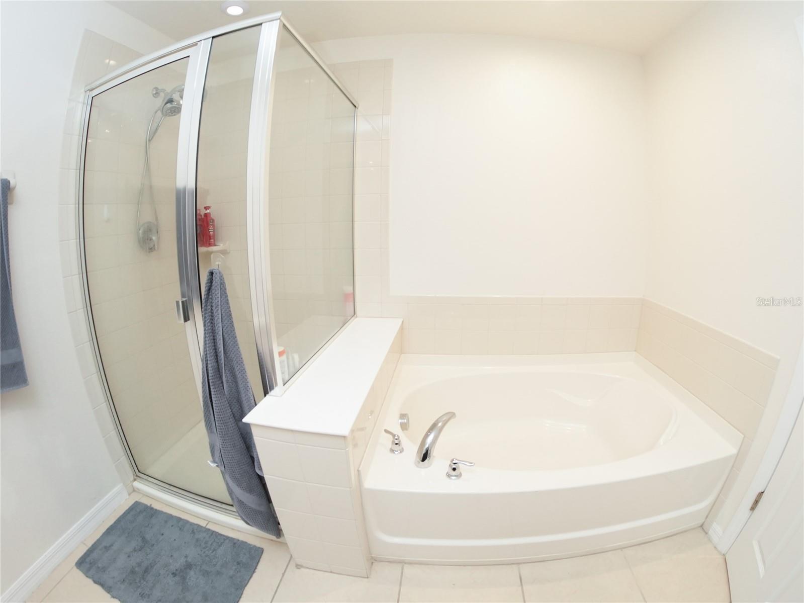 Image 12 of 22 For 2451 Varenna Loop