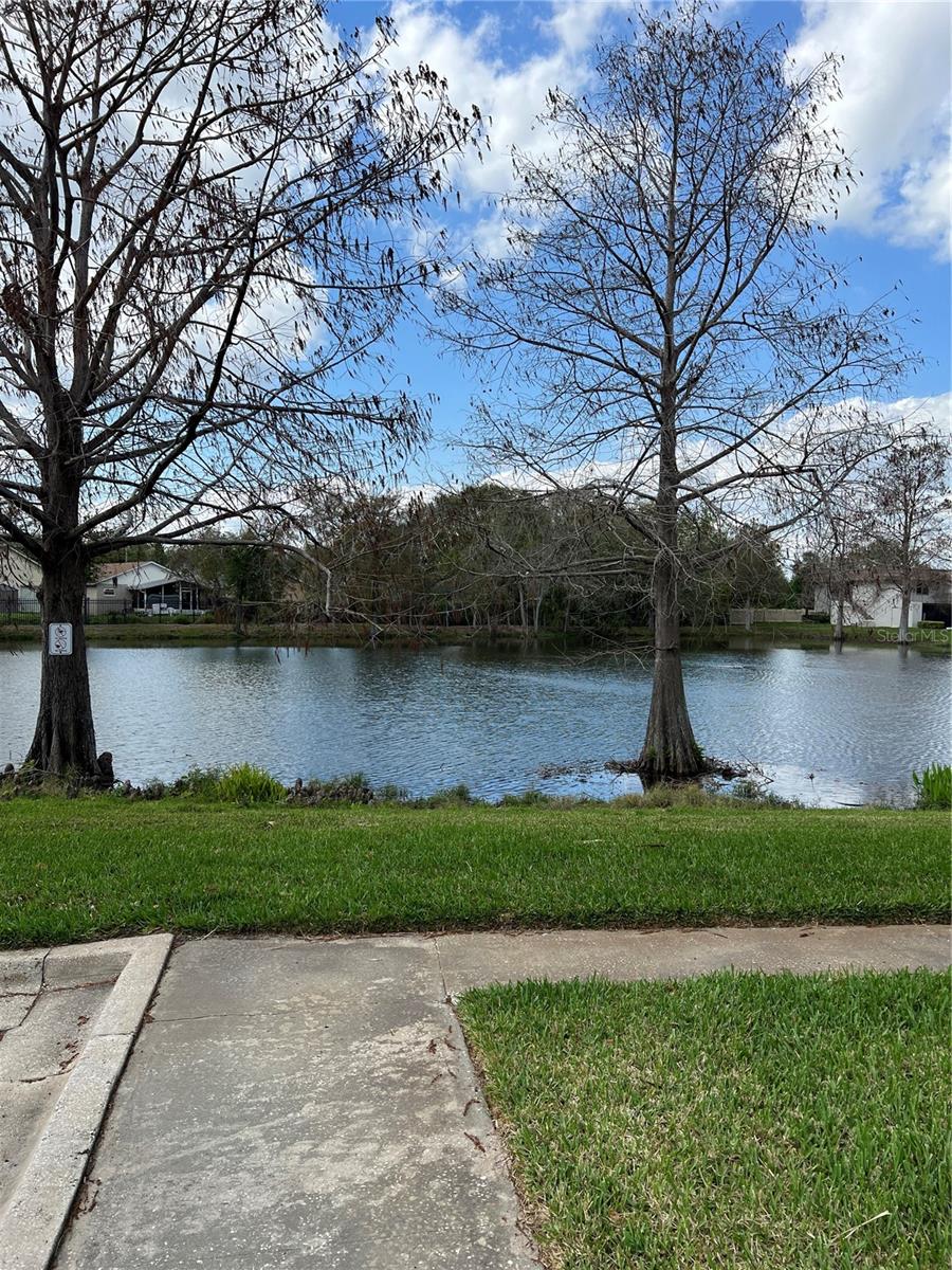 Image 16 of 21 For 57 Windtree Lane G