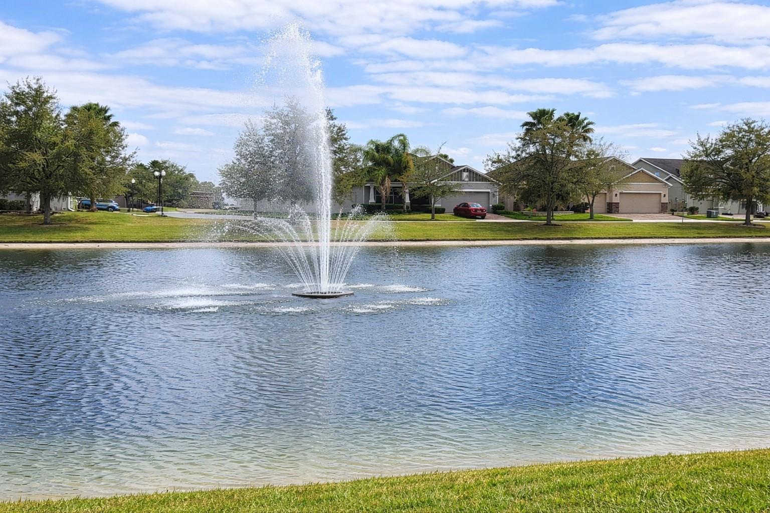 Image 31 of 36 For 4054 Pindo Palm Ln