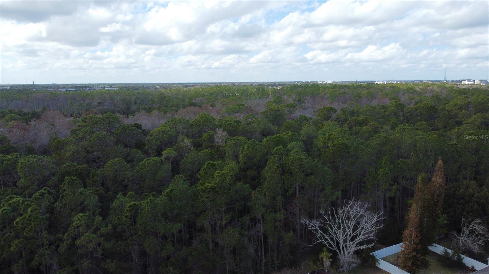 Image 36 of 38 For 1902 Palmetto Pine Lane