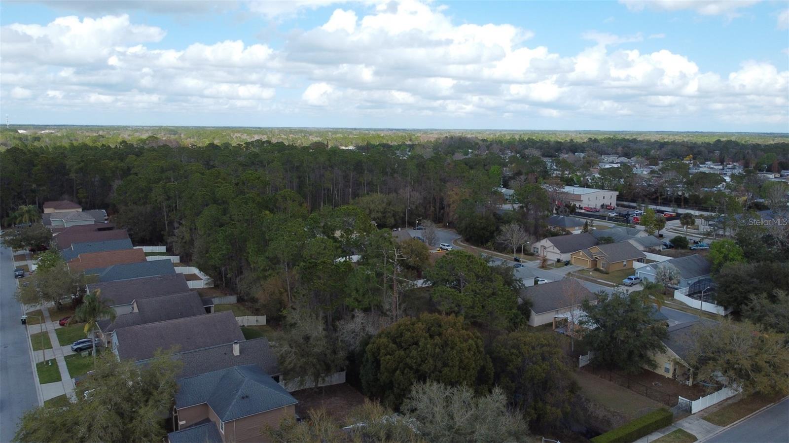 Image 38 of 38 For 1902 Palmetto Pine Lane