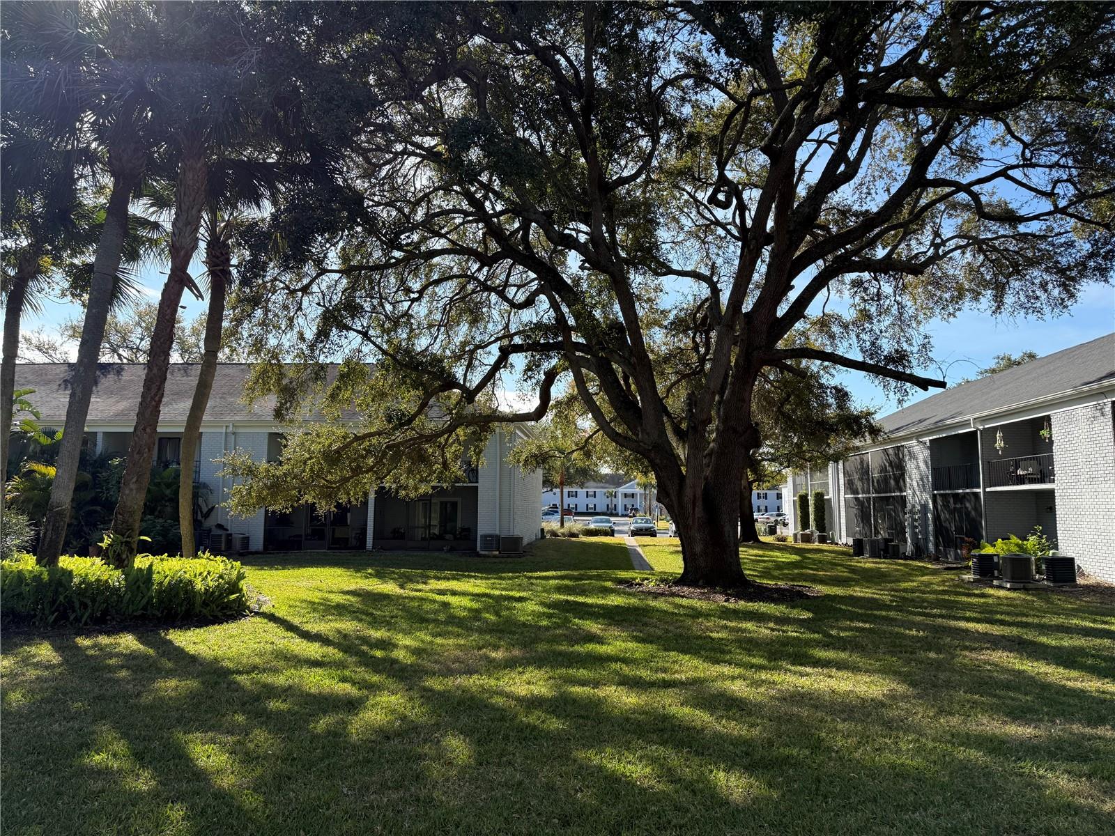 Image 35 of 41 For 102 Lewfield Circle 102