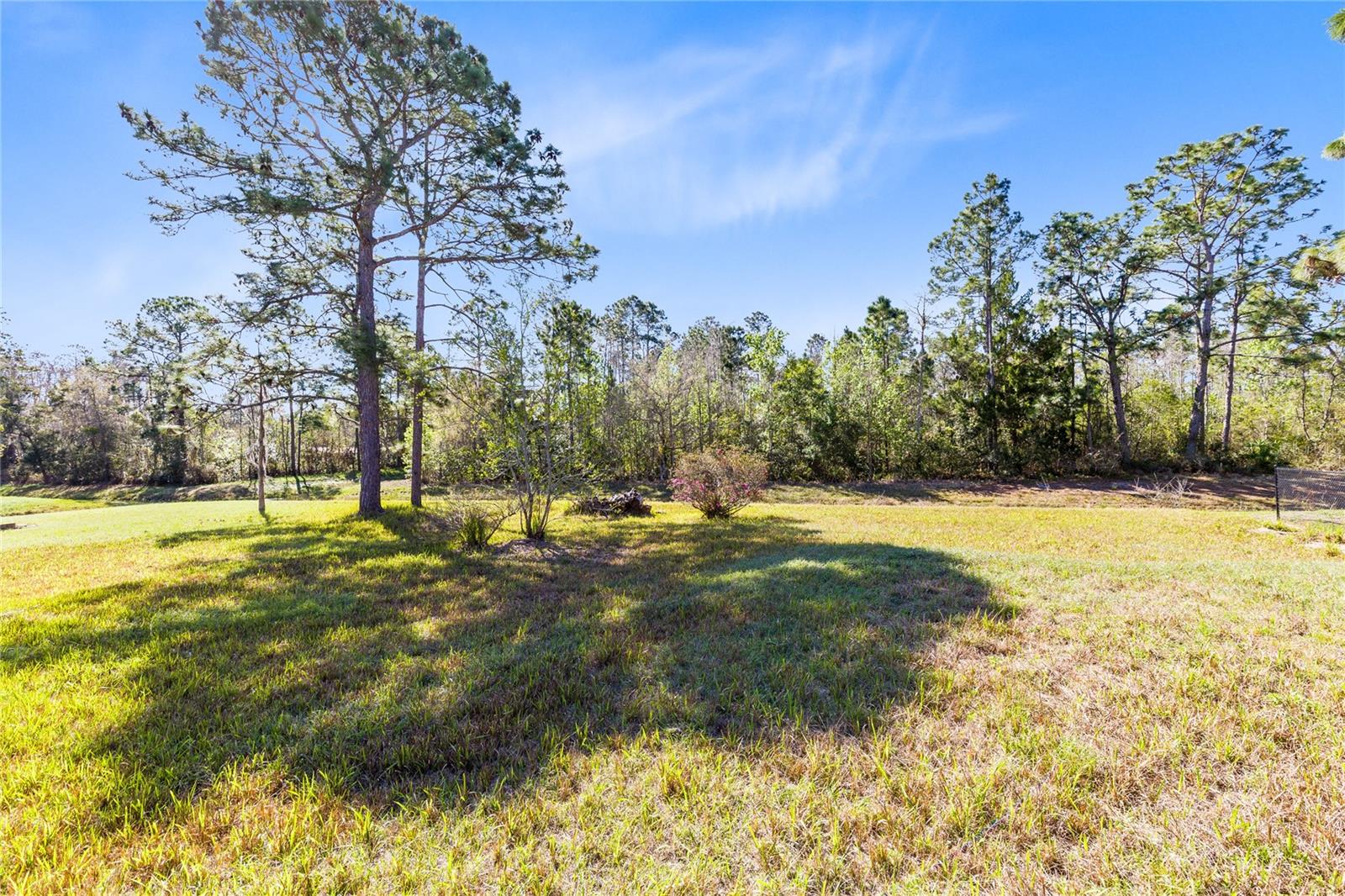 Image 30 of 36 For 19562 Majestic Street