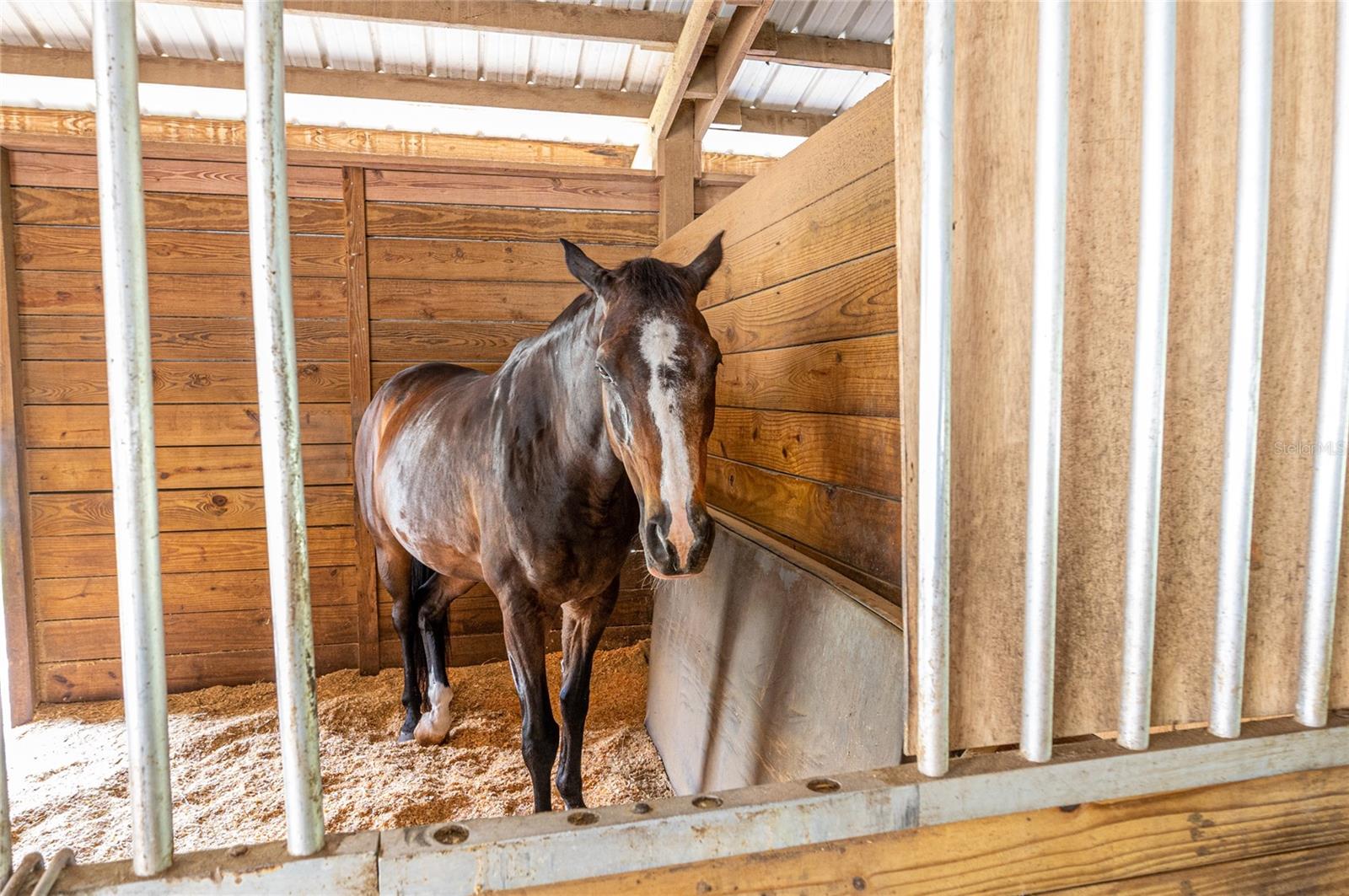 Image 32 of 48 For 104 Fairway Drive 101b