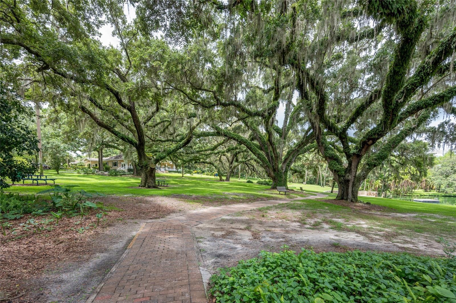 Image 40 of 48 For 104 Fairway Drive 101b