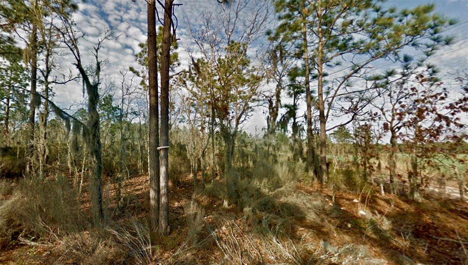 Image 5 of 12 For 000 66th Pl. Ne