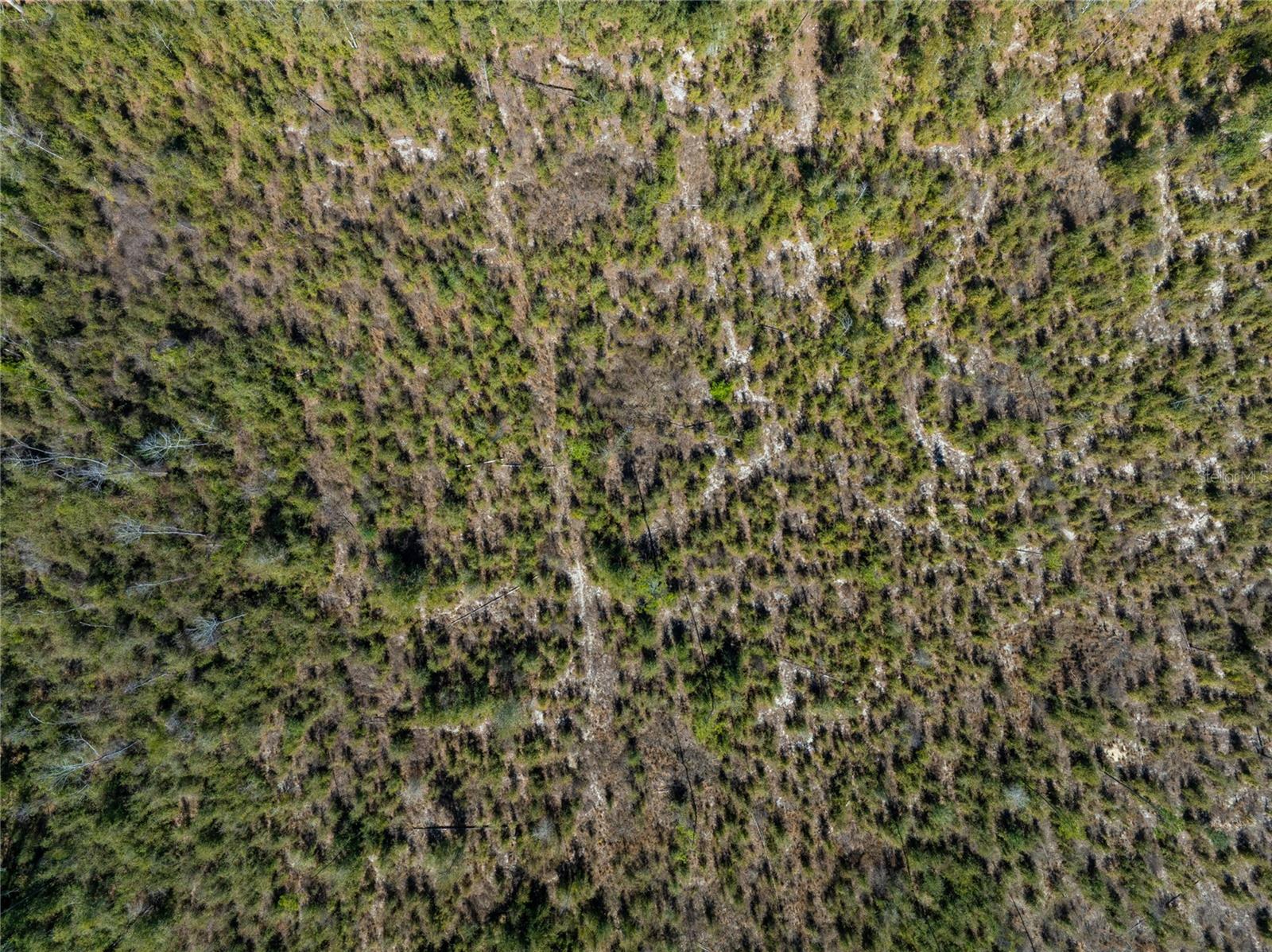 Image 24 of 33 For  213th Court 