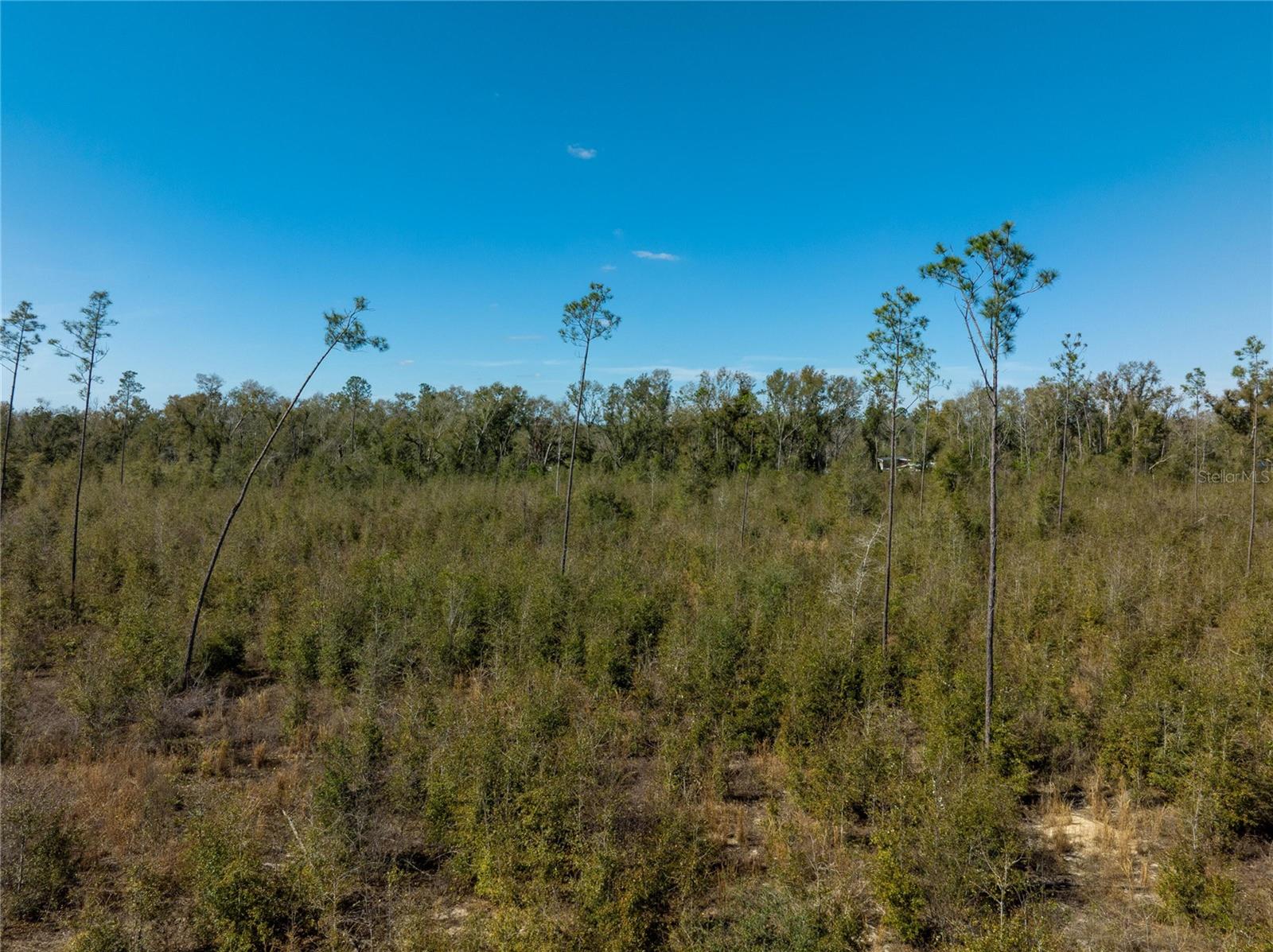 Image 25 of 33 For  213th Court 