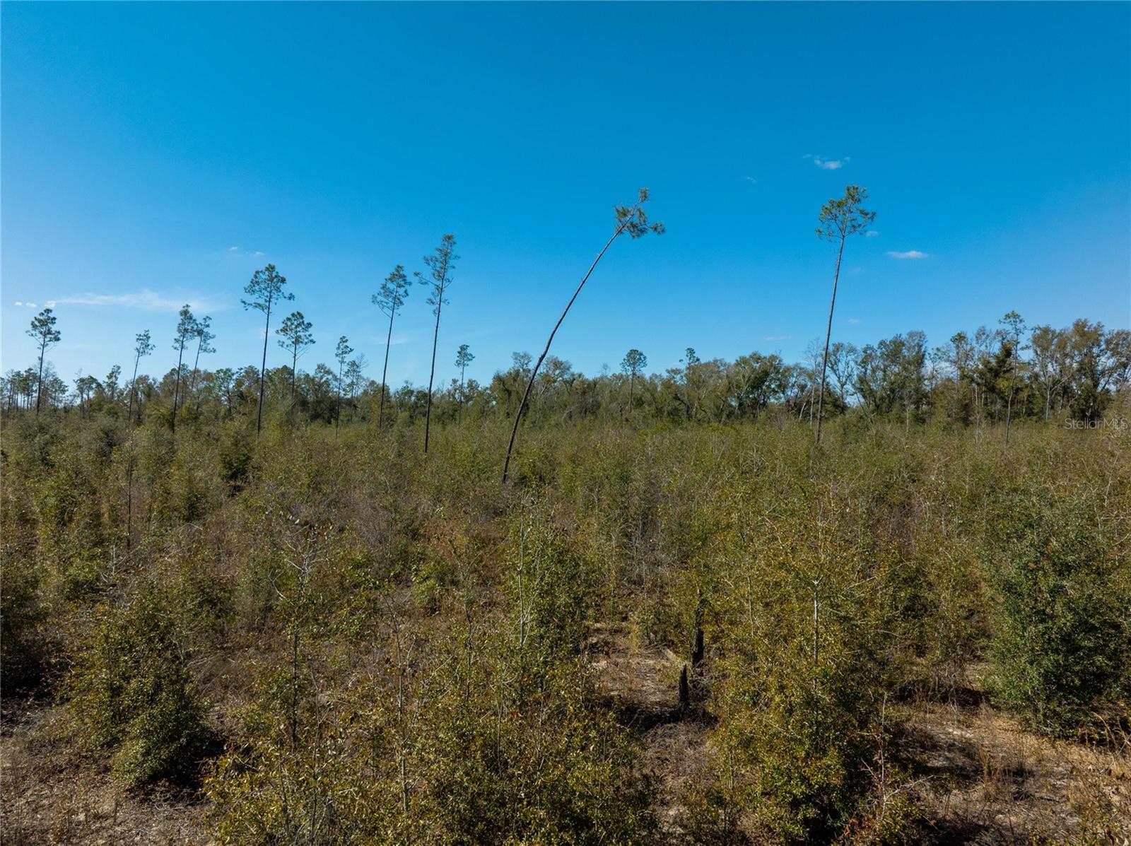 Image 26 of 33 For  213th Court 