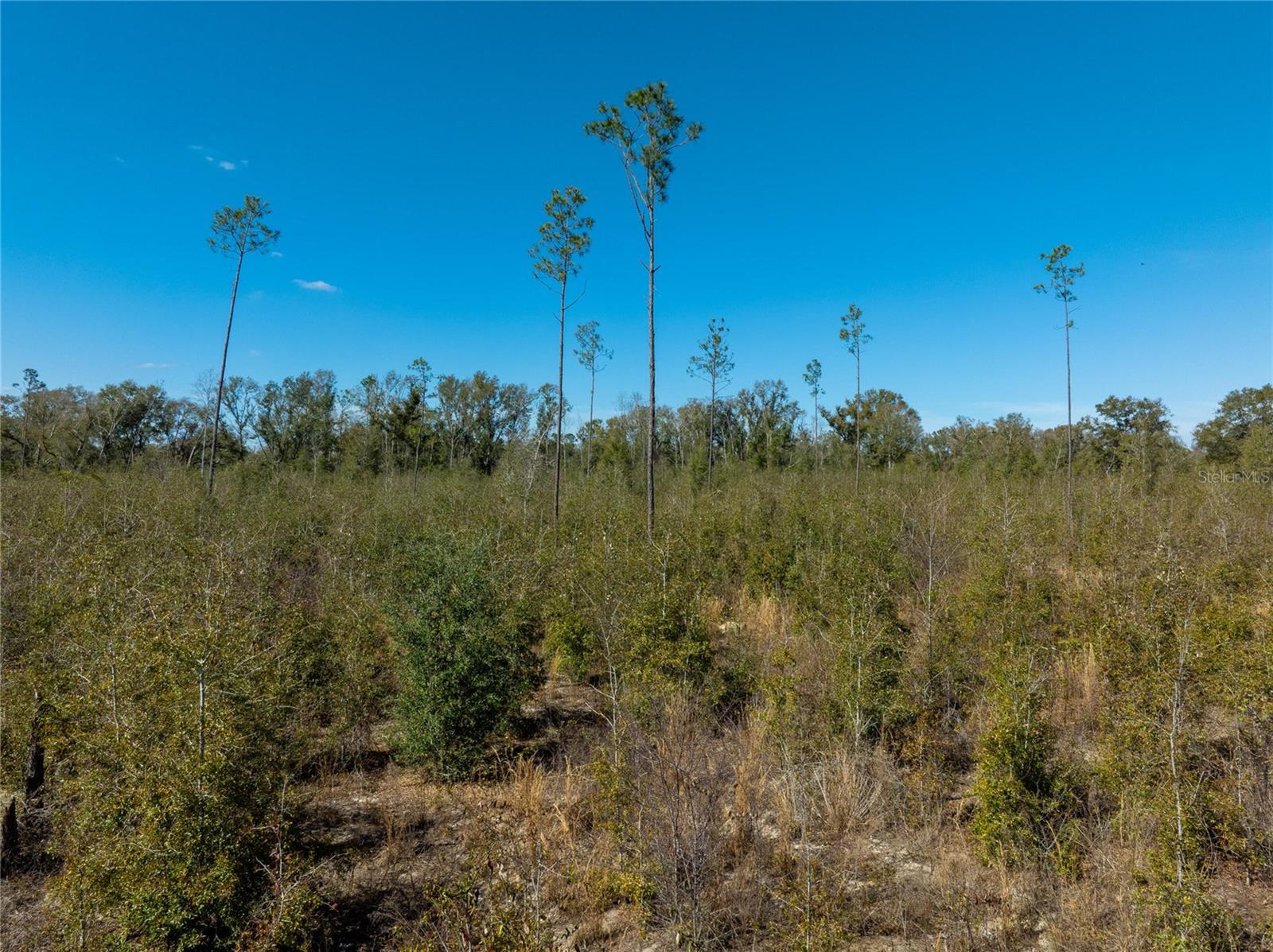 Image 27 of 33 For  213th Court 