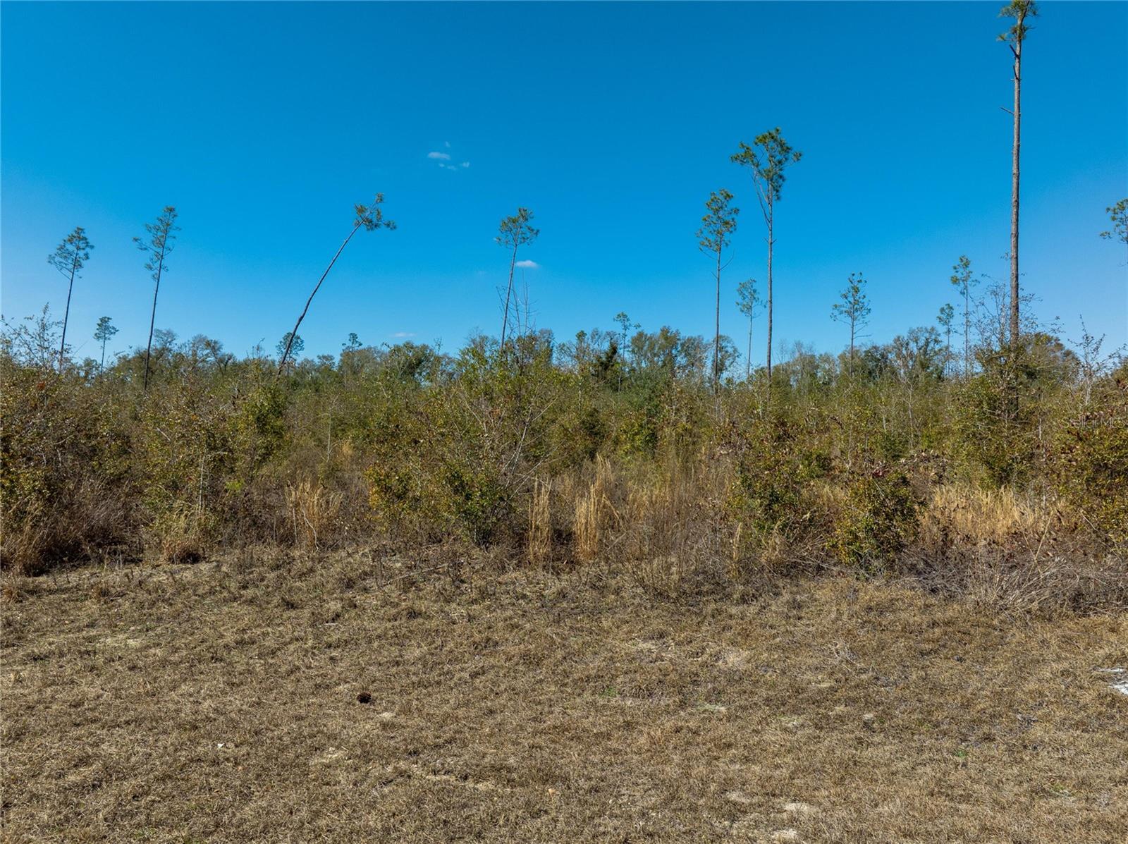 Image 28 of 33 For  213th Court 