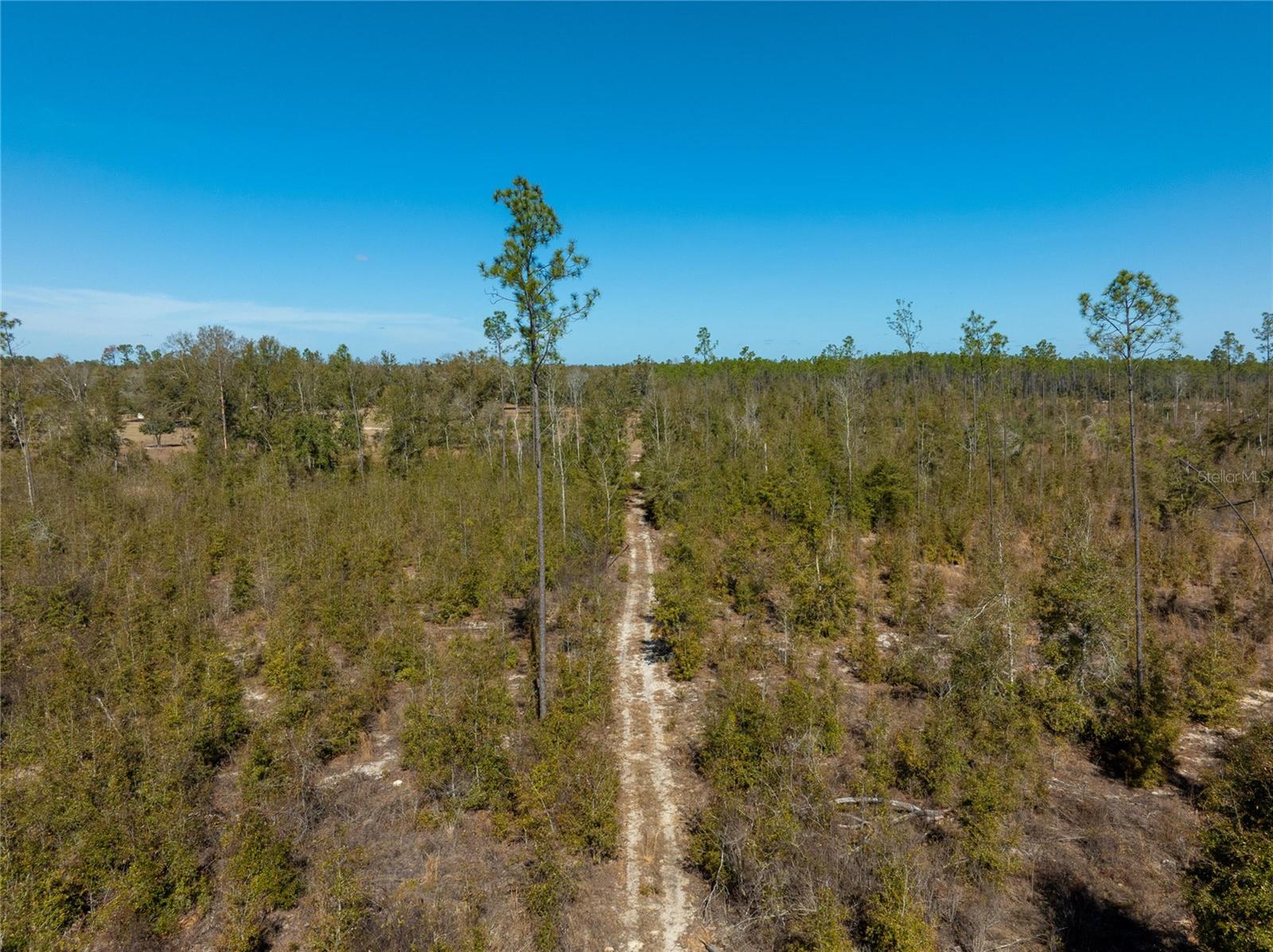 Image 31 of 33 For  213th Court 