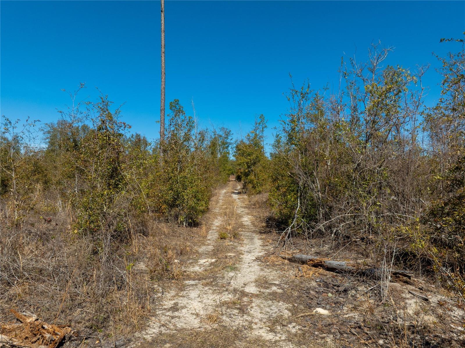 Image 32 of 33 For  213th Court 