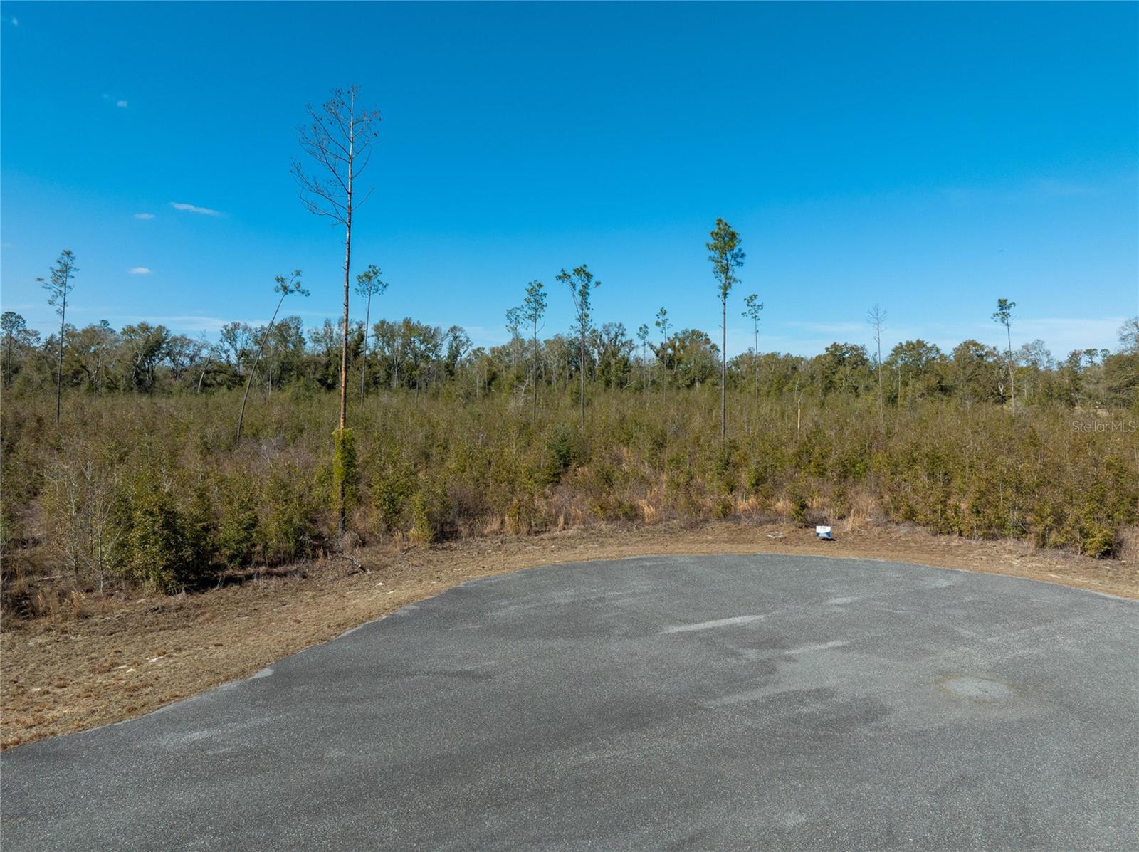 Image 33 of 33 For  213th Court 