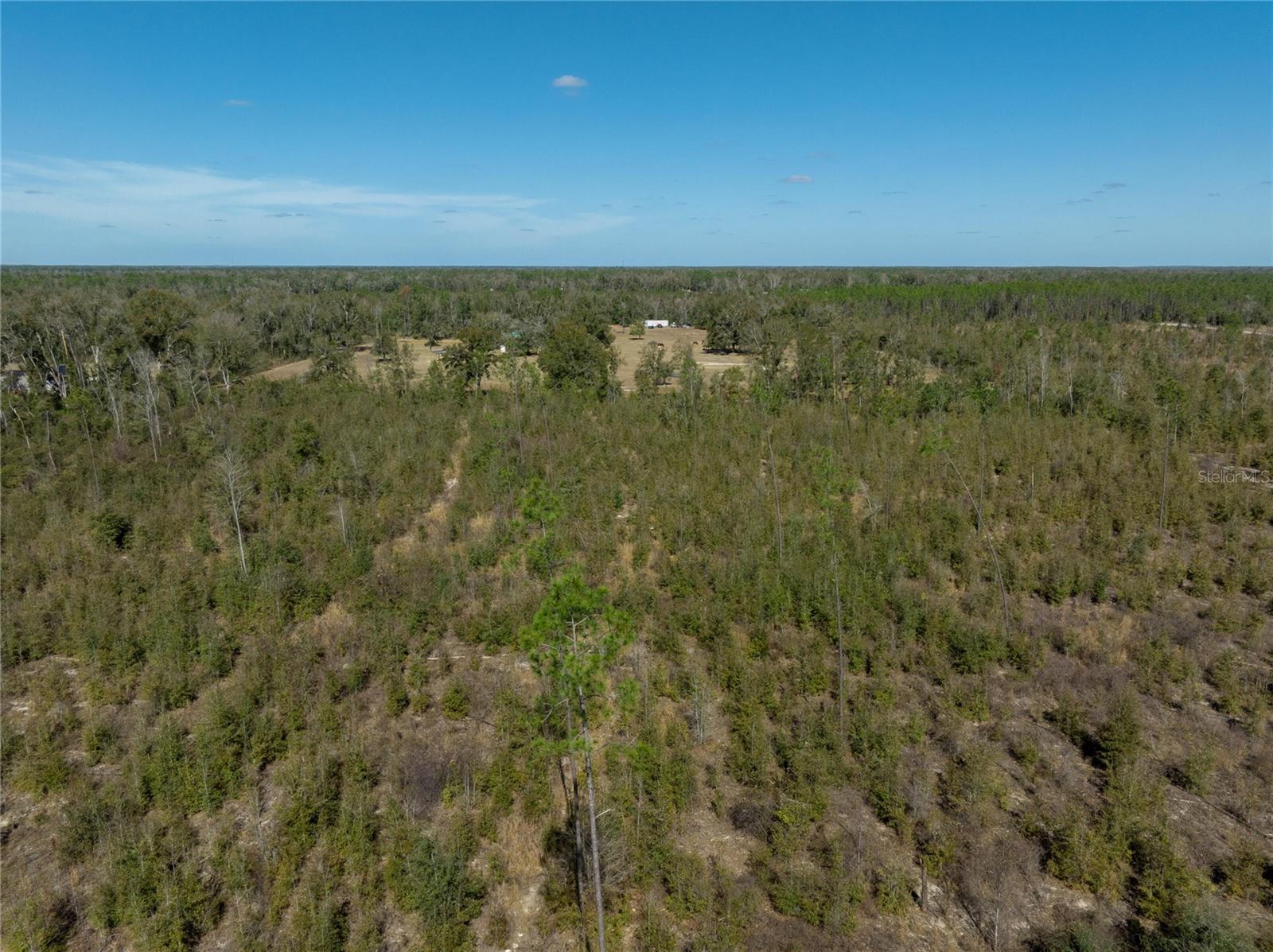 Image 6 of 33 For  213th Court 