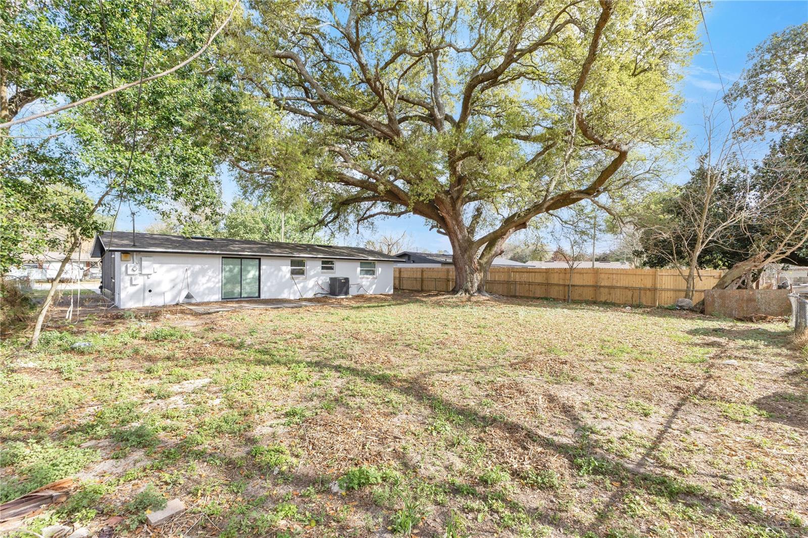 Image 19 of 27 For 212 Audrey Street