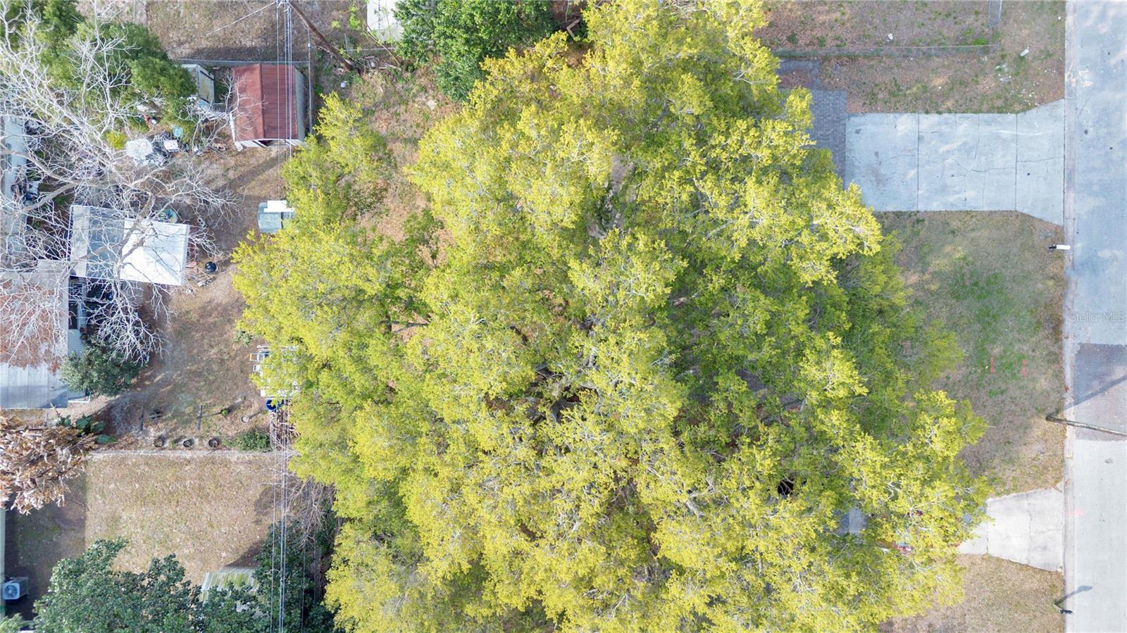 Image 24 of 27 For 212 Audrey Street