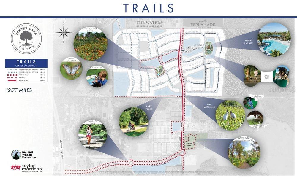 Image 21 of 25 For 969 Ladyfish Trail