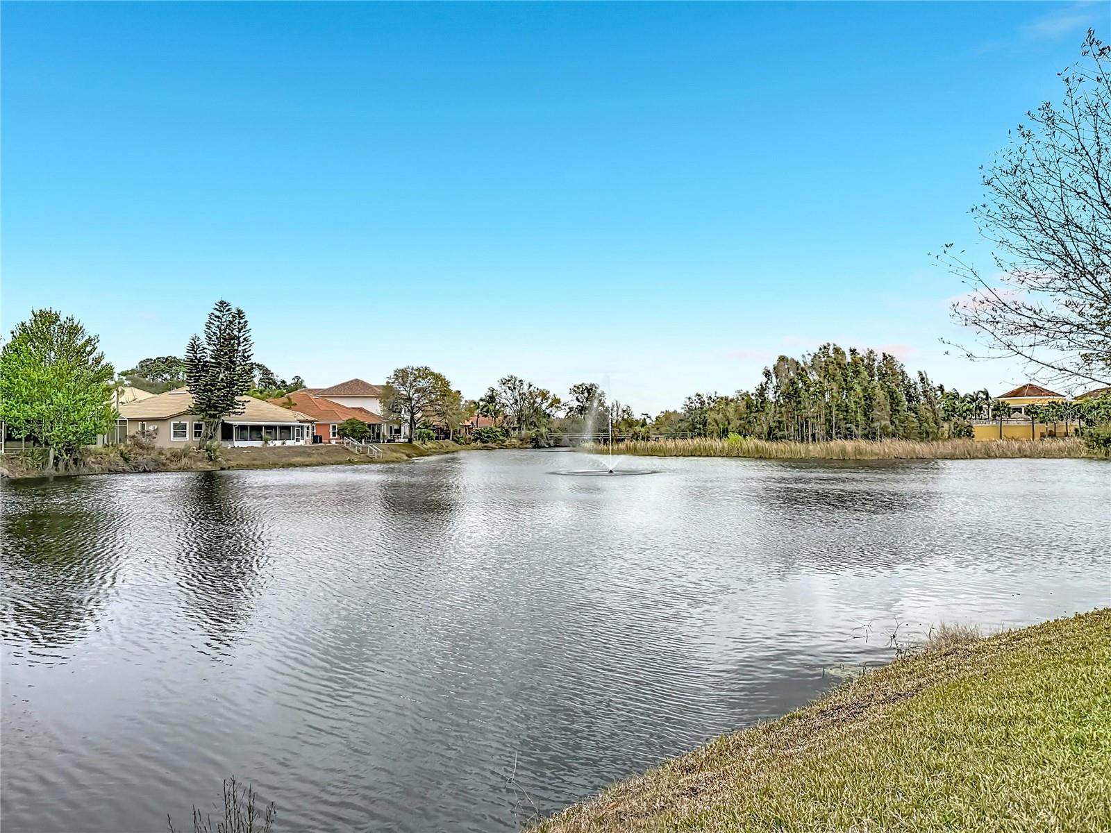 Image 15 of 37 For 6828 Sombras Way