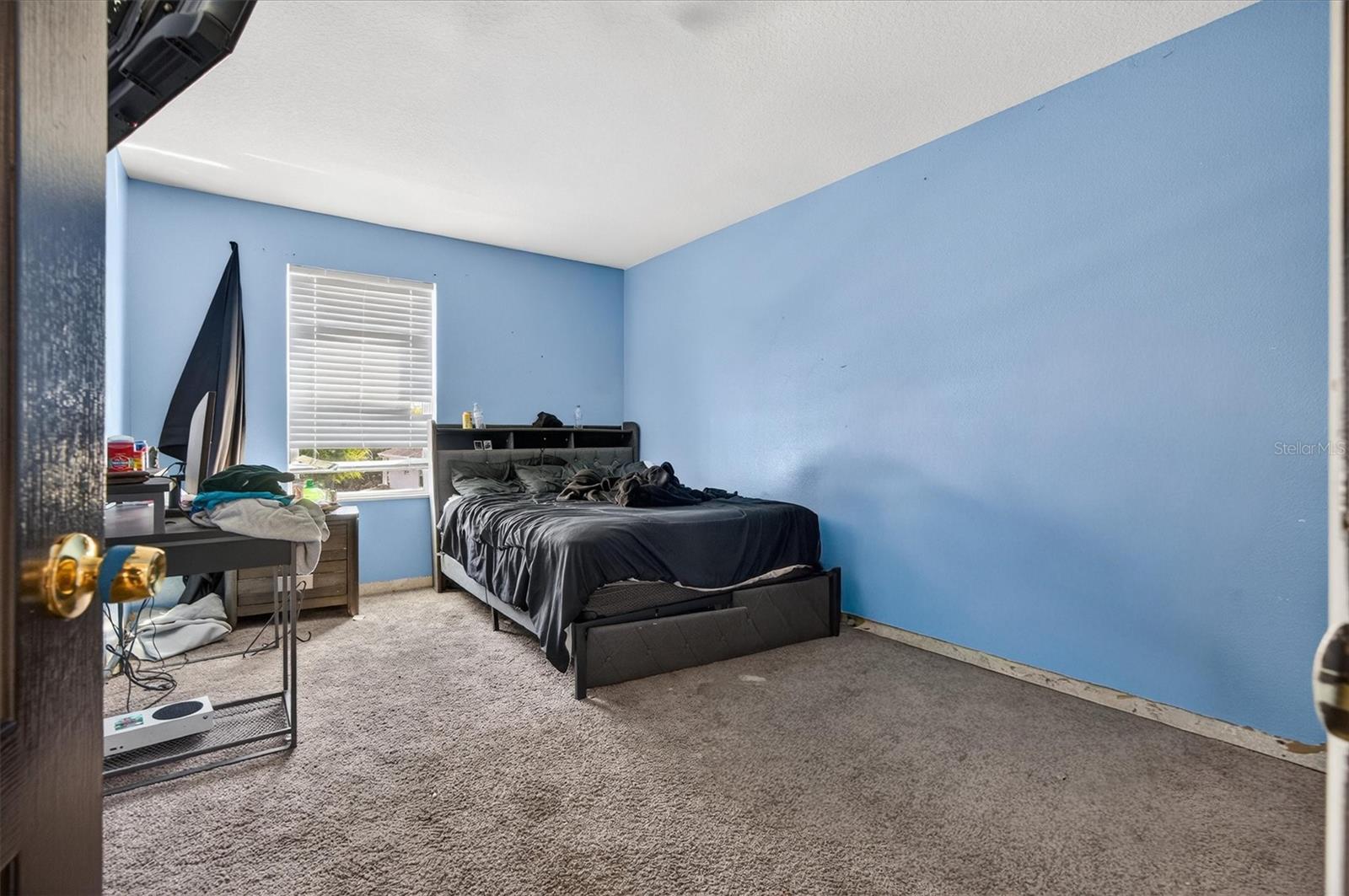 Image 22 of 33 For 2133 Ficus Street