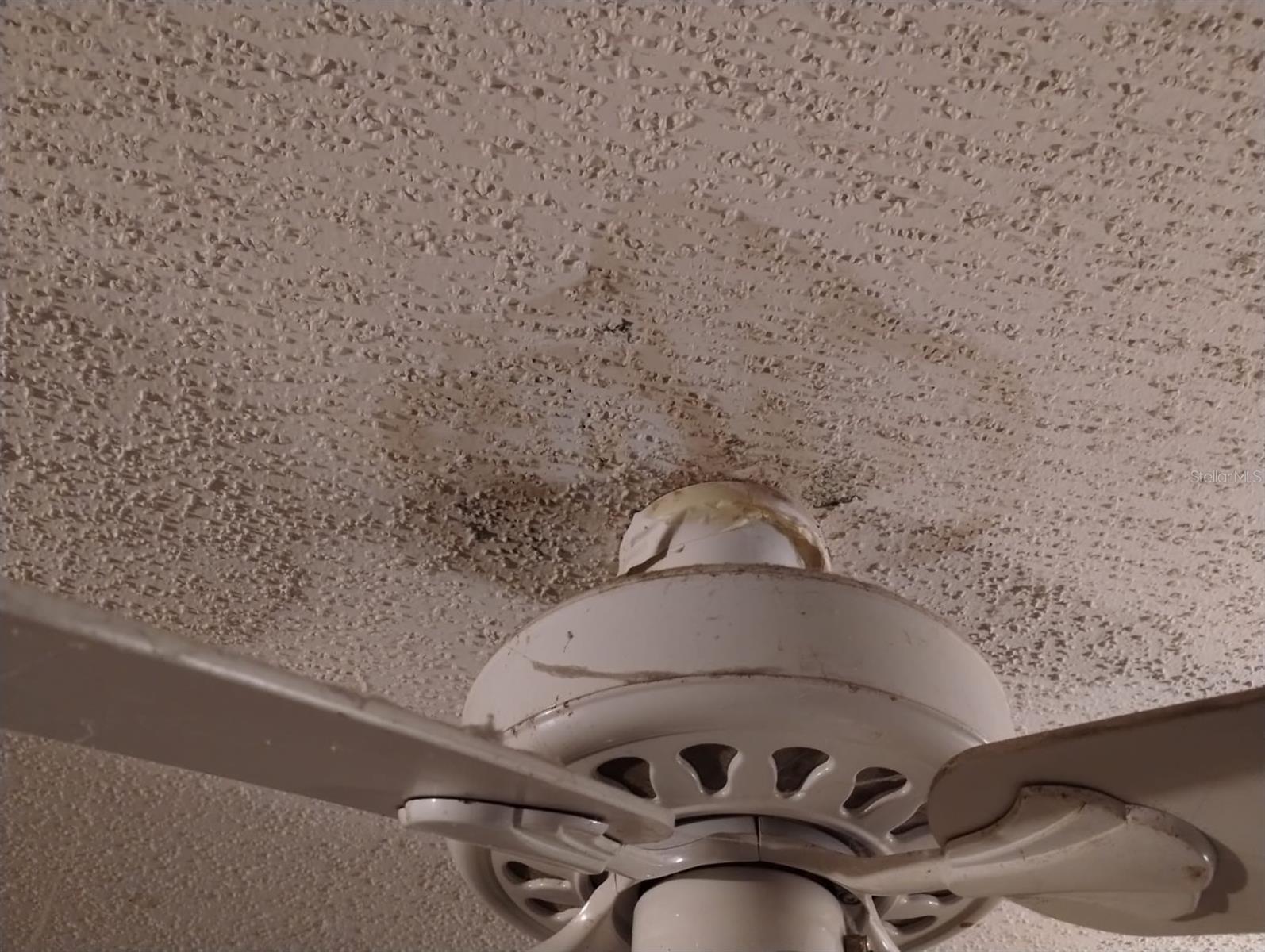 Image 14 of 22 For 800 Nicole Boulevard