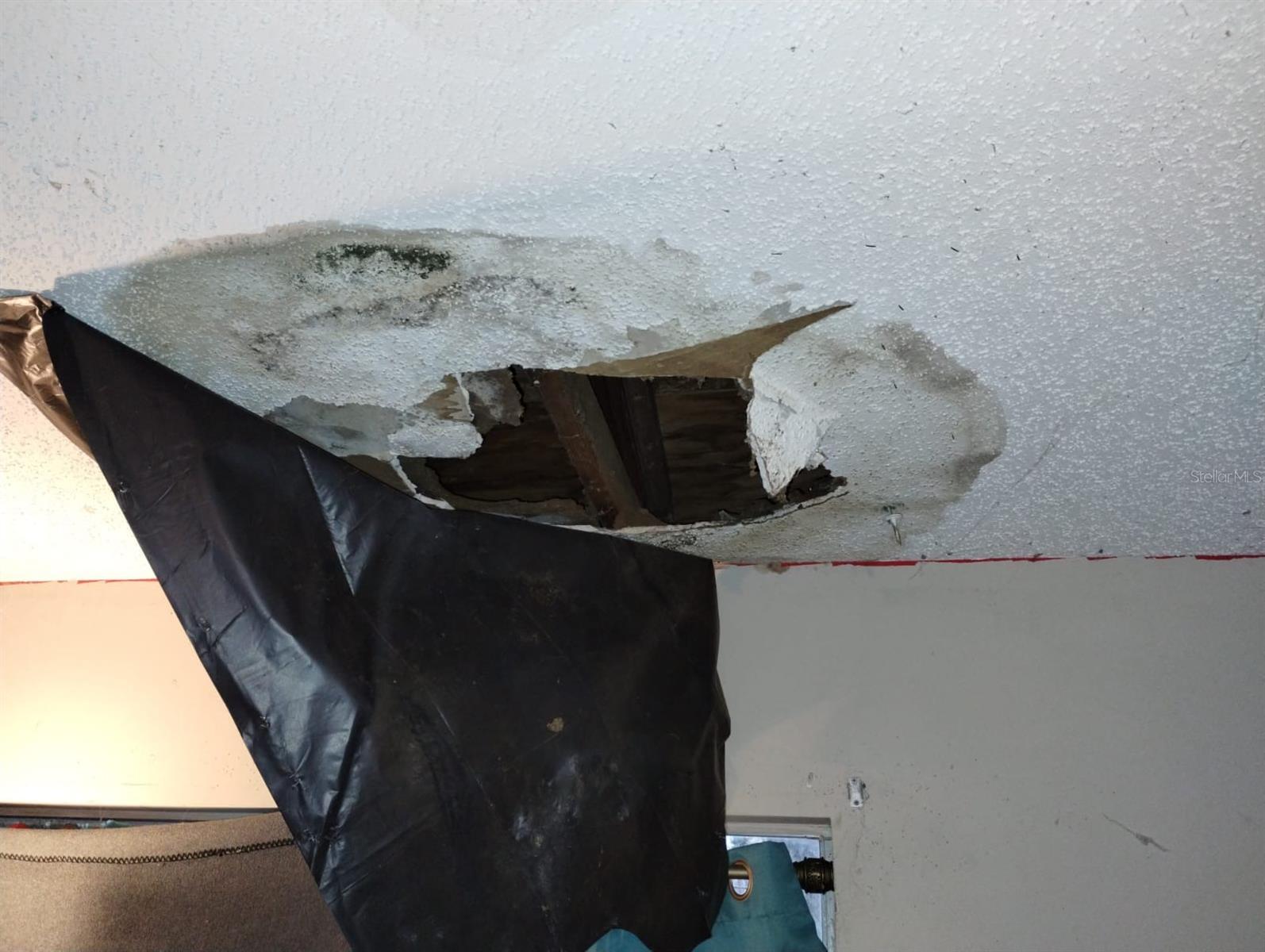 Image 15 of 22 For 800 Nicole Boulevard