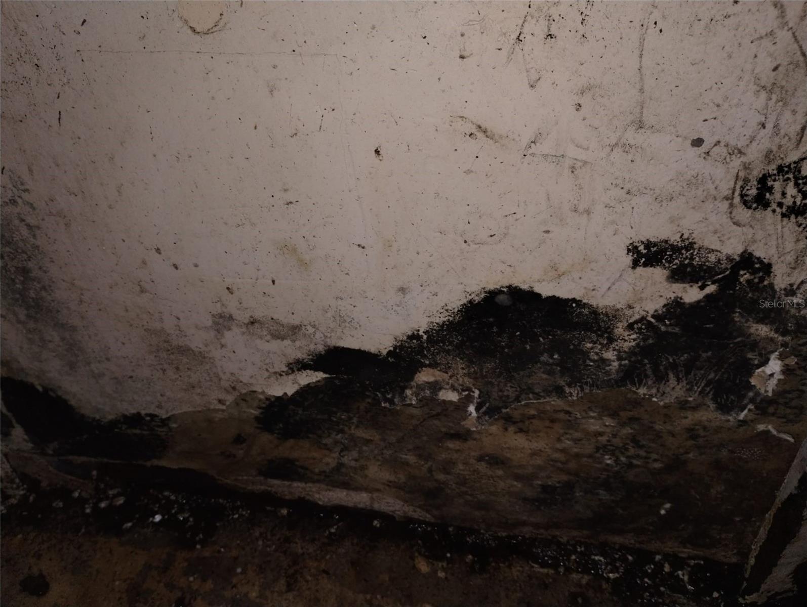 Image 20 of 22 For 800 Nicole Boulevard