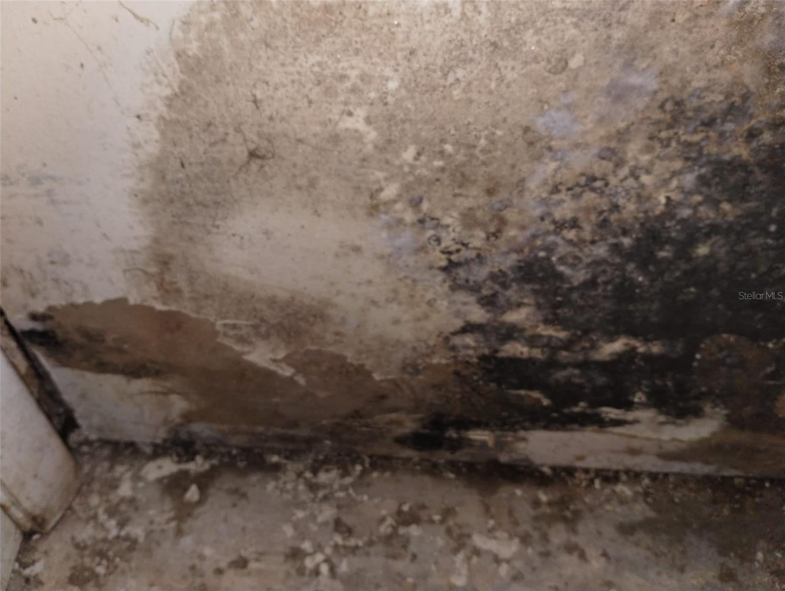 Image 21 of 22 For 800 Nicole Boulevard