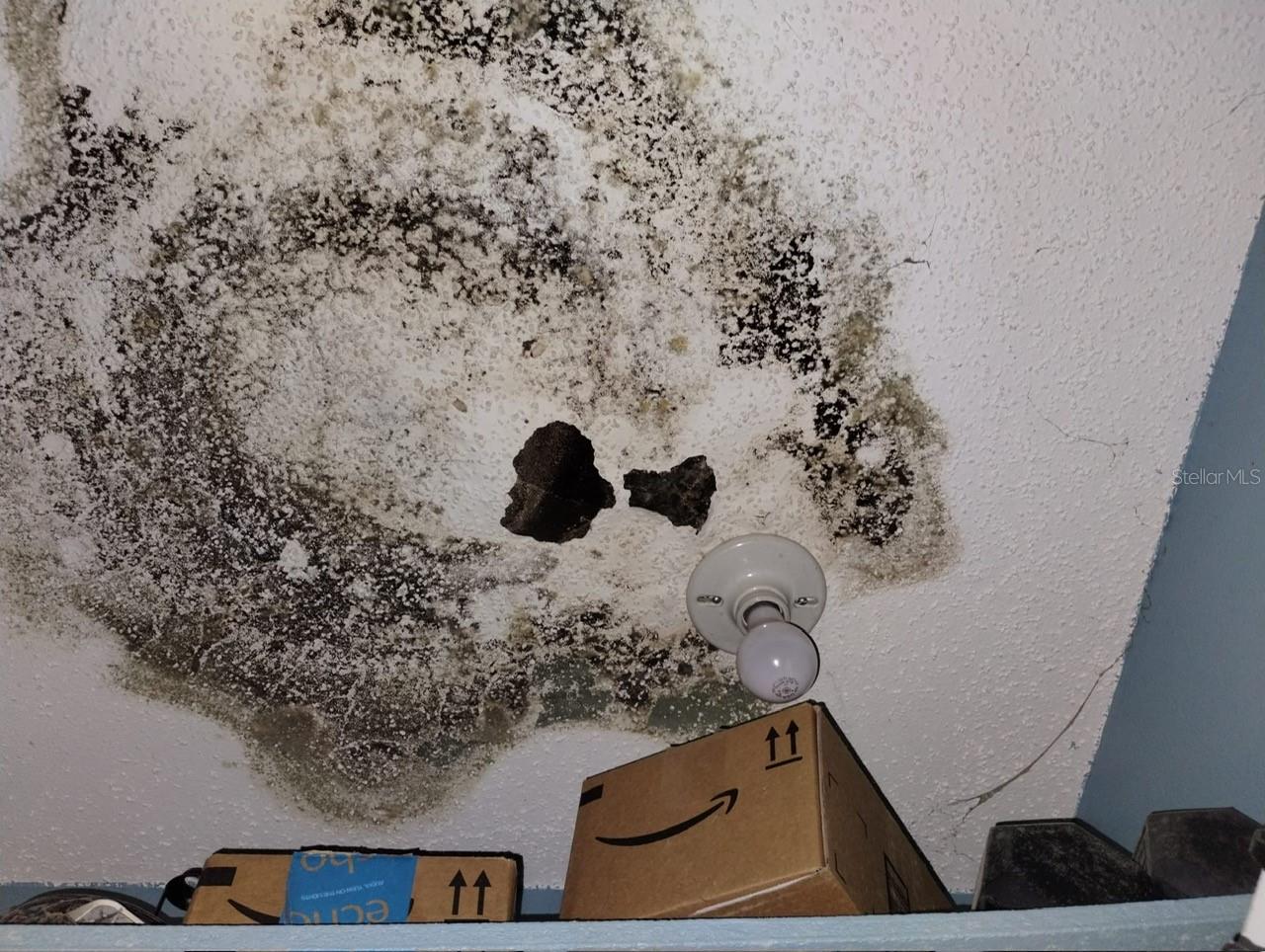 Image 4 of 22 For 800 Nicole Boulevard