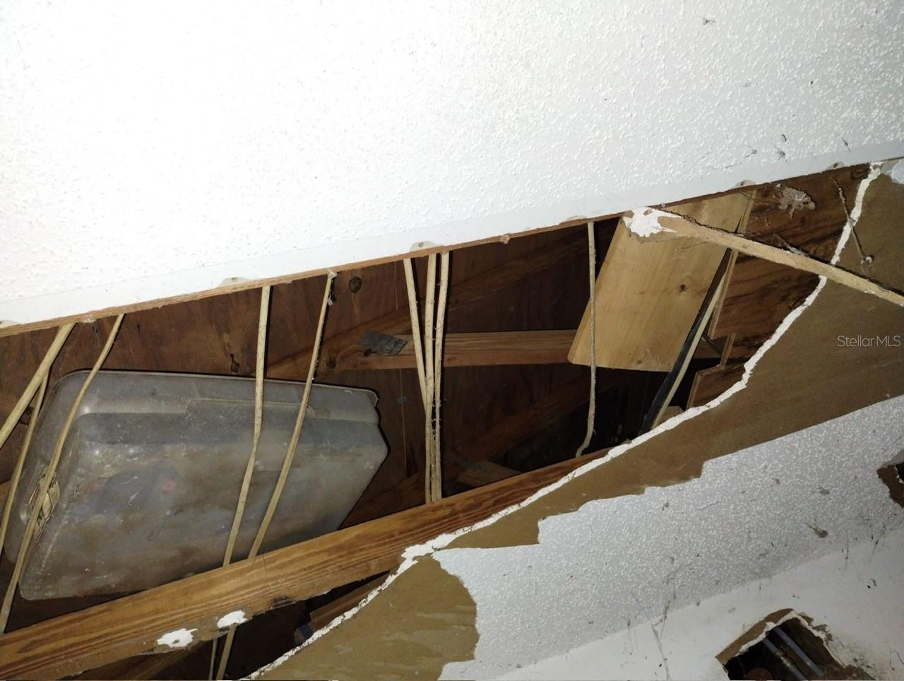 Image 6 of 22 For 800 Nicole Boulevard