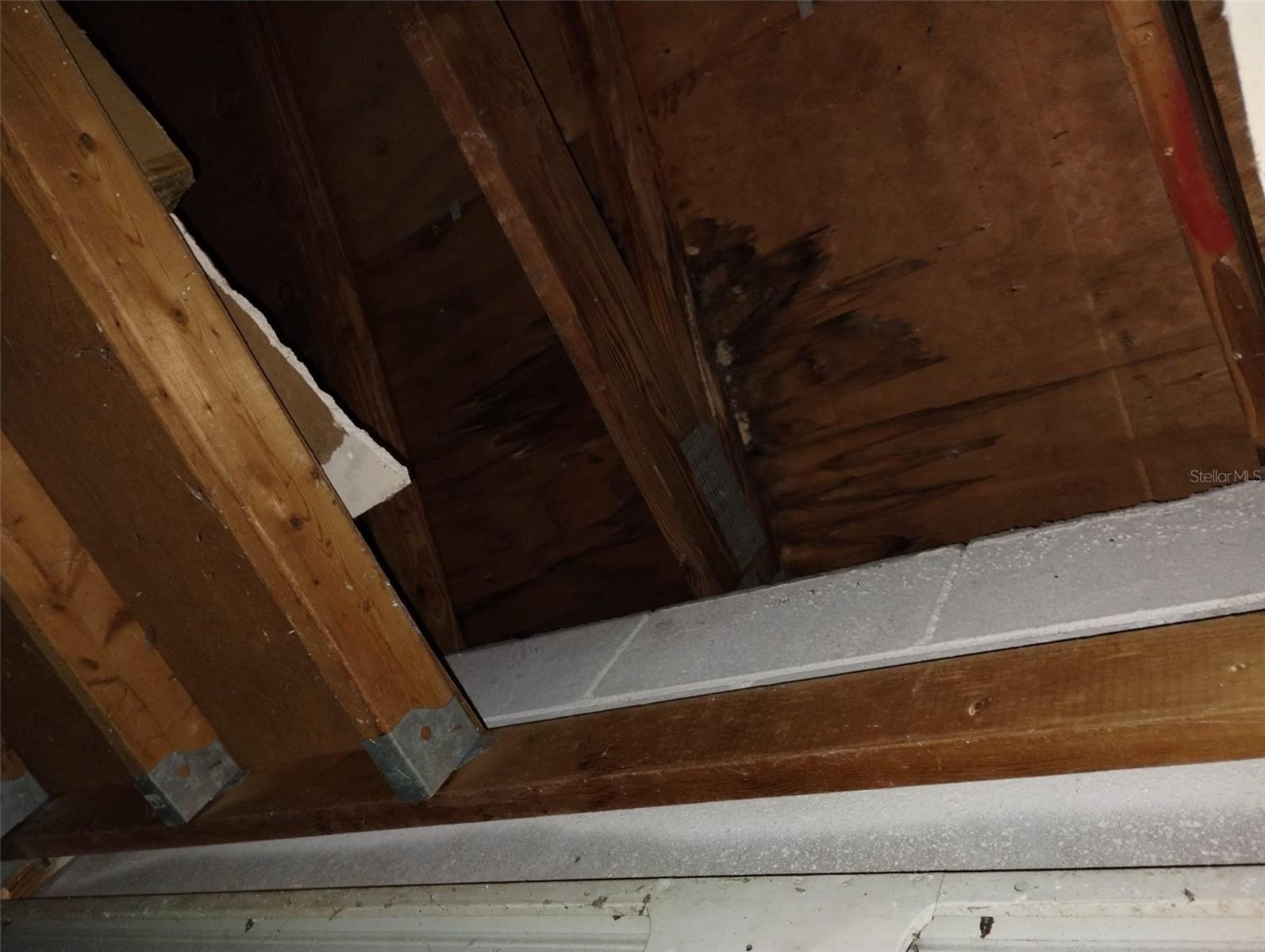 Image 7 of 22 For 800 Nicole Boulevard