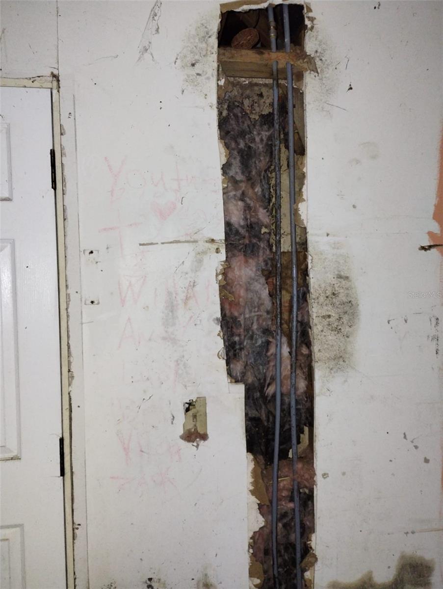 Image 8 of 22 For 800 Nicole Boulevard