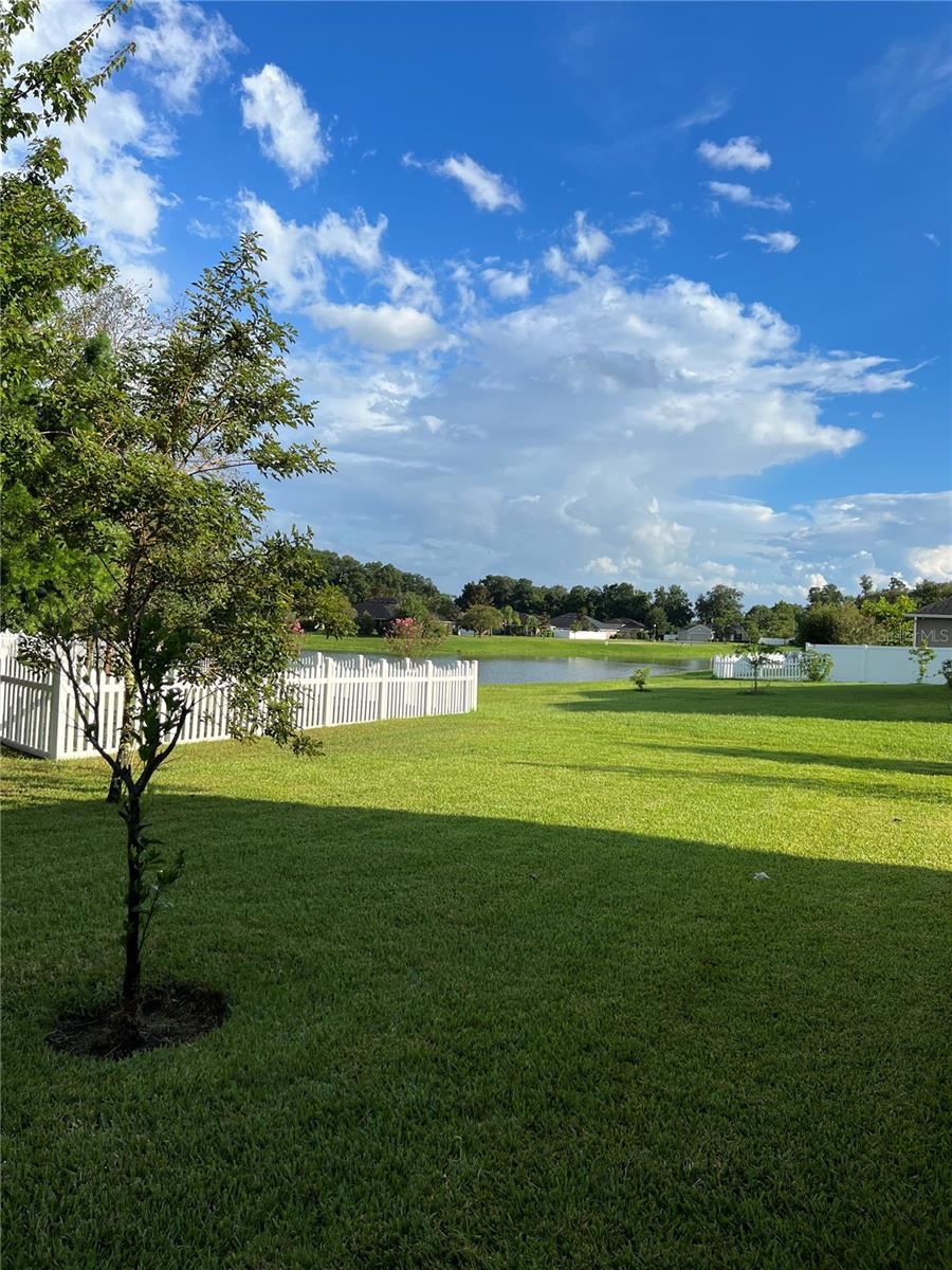 Image 4 of 48 For 611 Curly Fern Lane